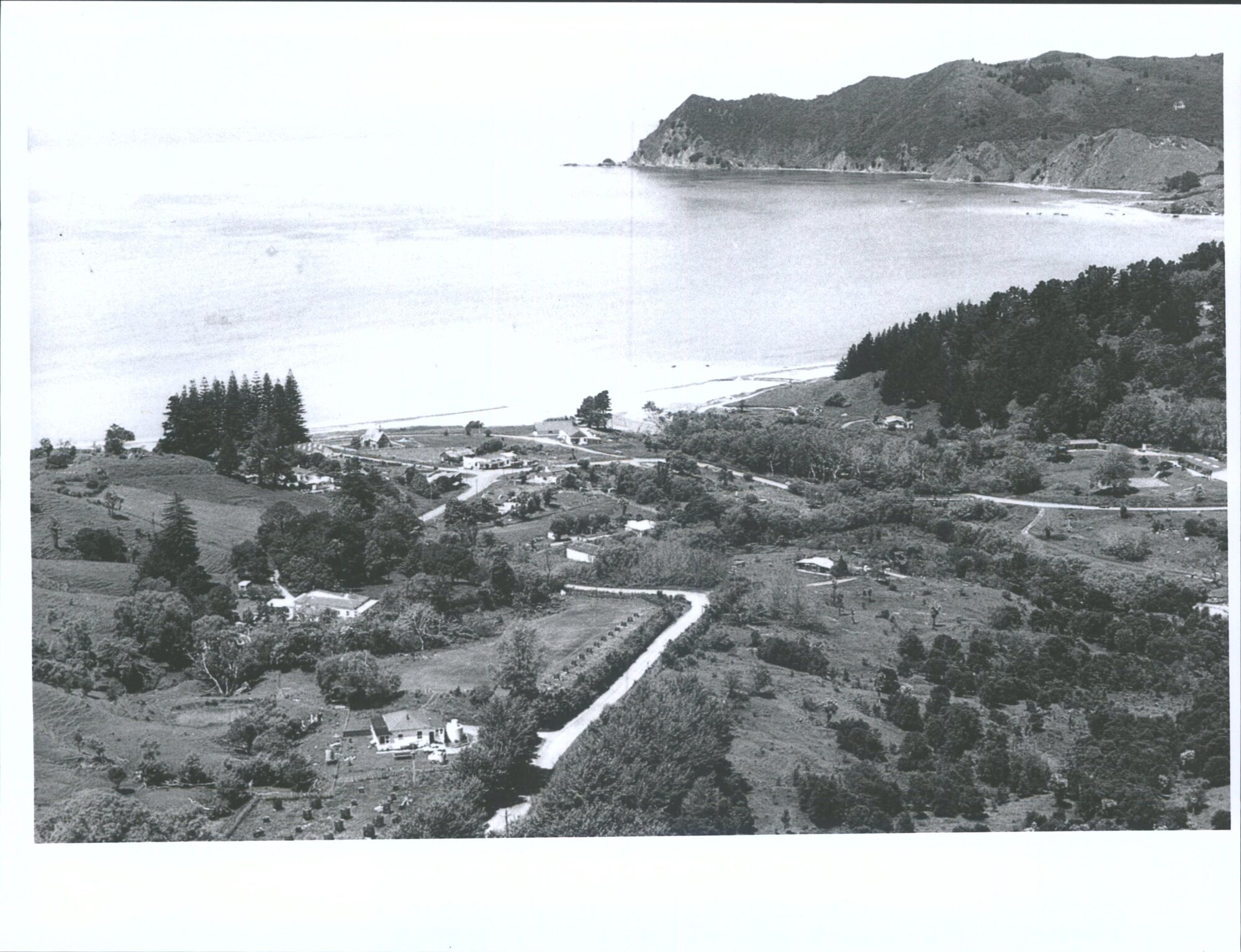 Waipiro Bay Township