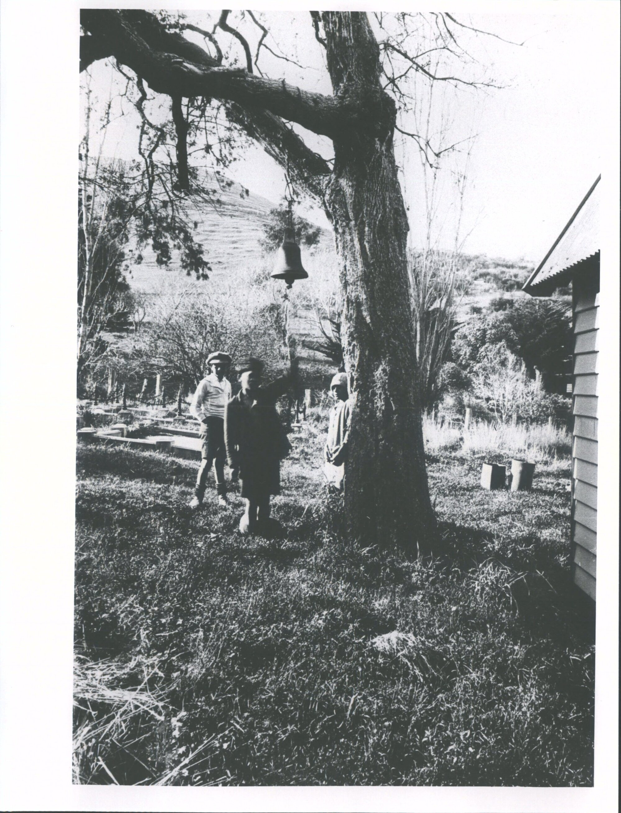 The Church Bell on the Old Ribbonwood Tree, Rapaki Port Cooper