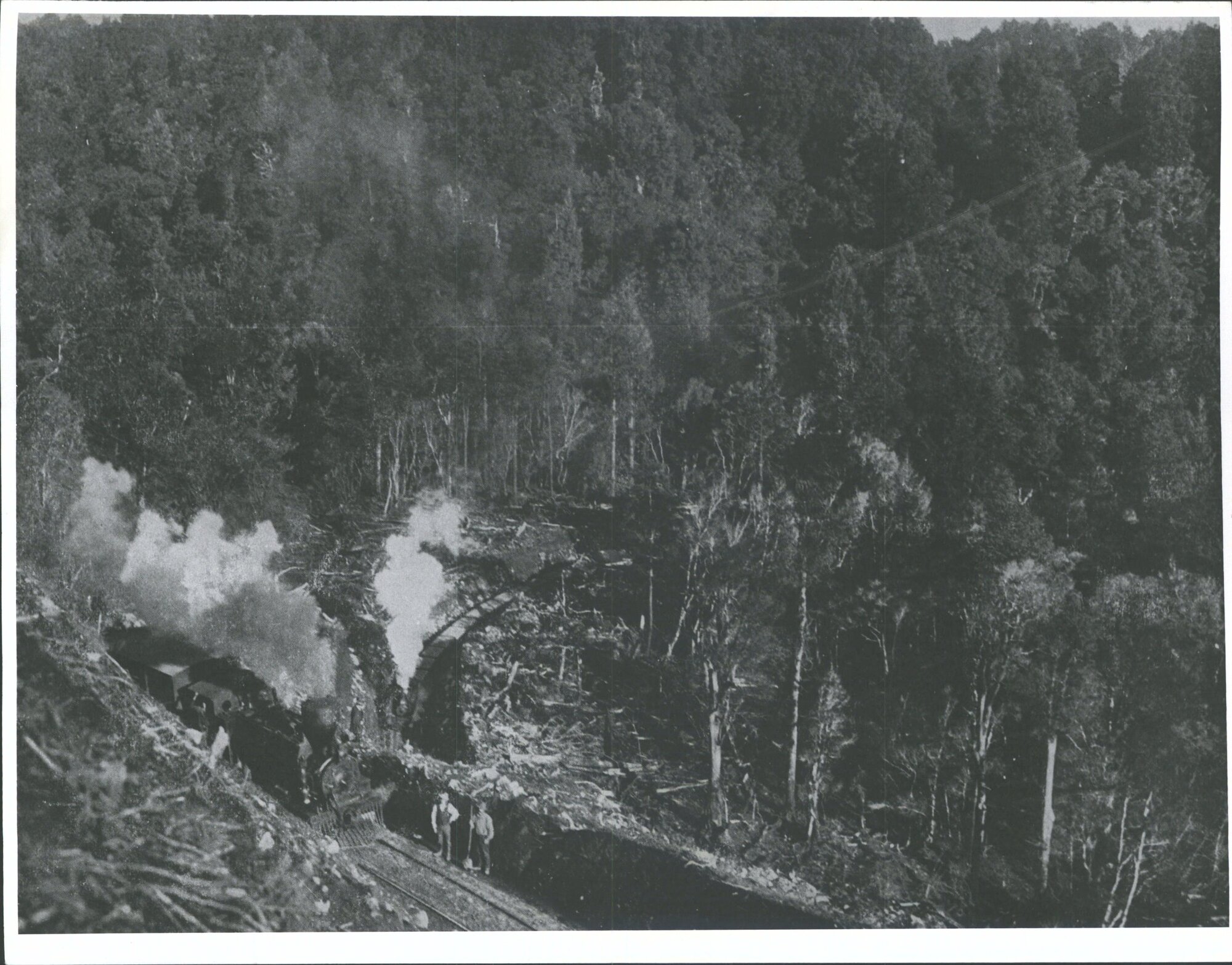 North Island main trunk railway - view on Spiral, two miles from Raurimu
