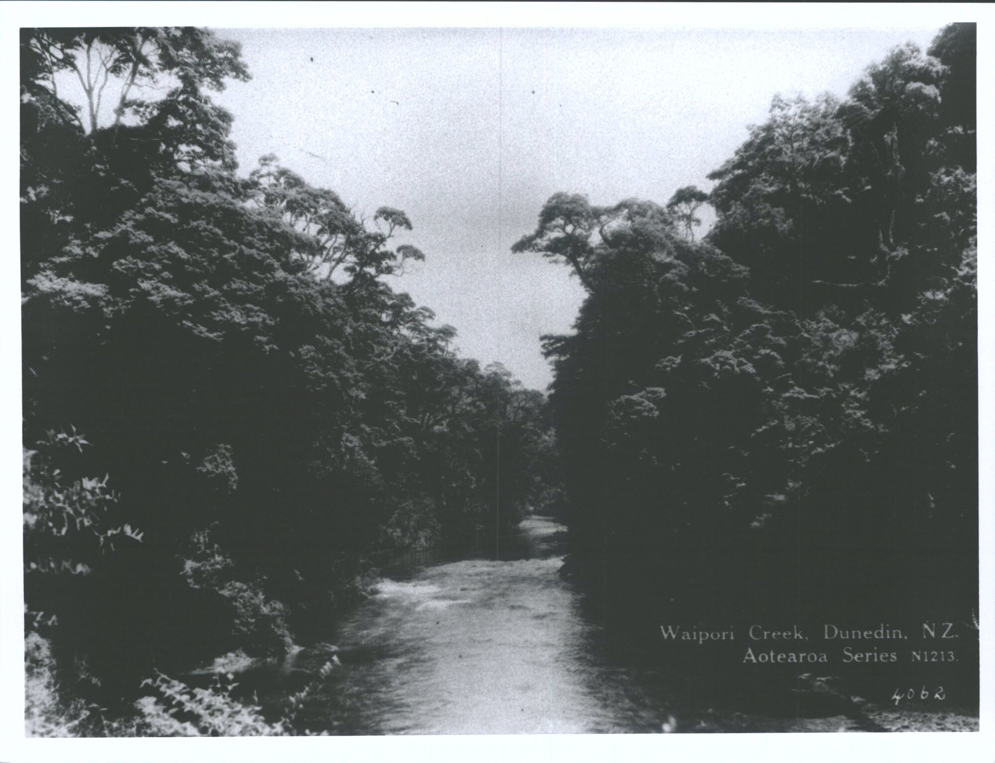 Waipori Creek, Dunedin, N.Z.