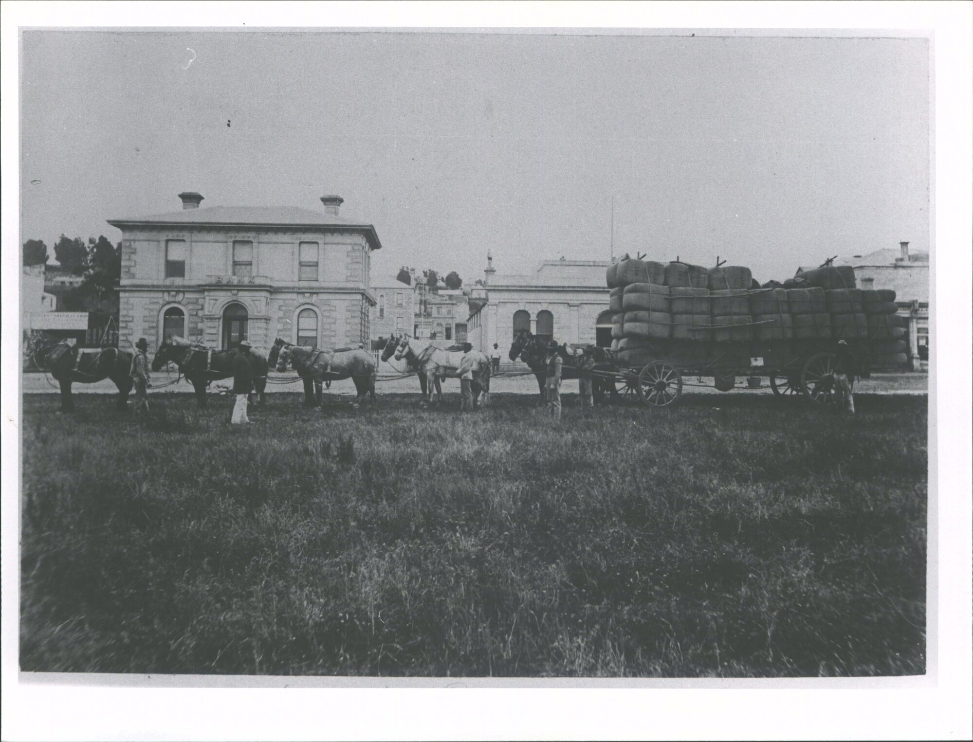 Tyne Street - Wool from Omarama Station