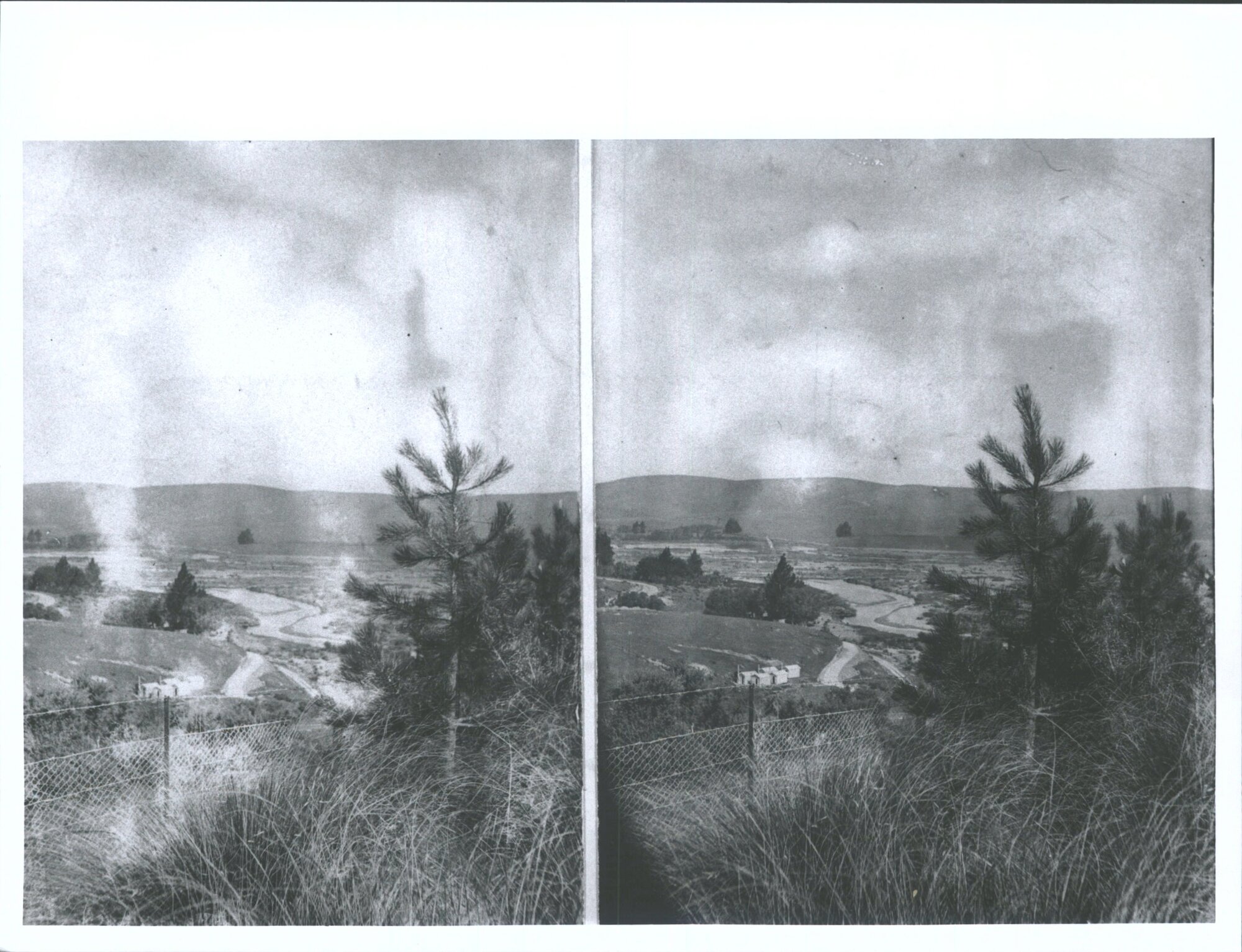 North East Corner of Frederick William Knight's Plantation, Looking South East