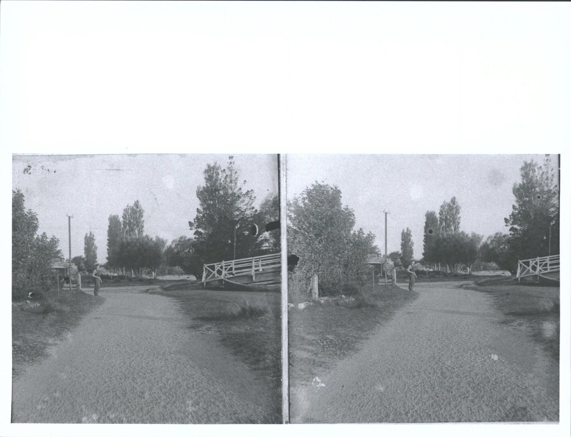 Waipori River, North Bank. Guy Knight in photo