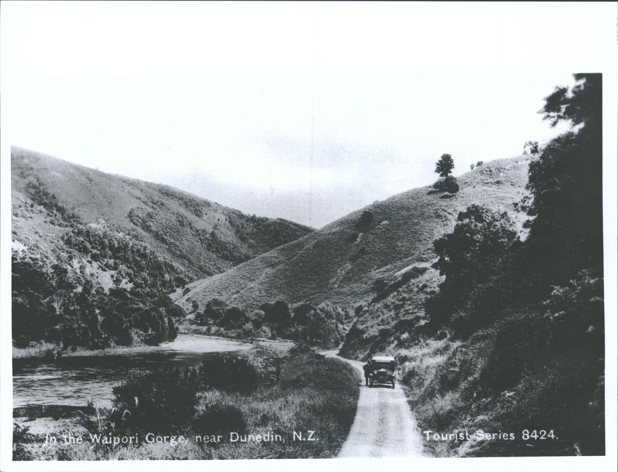 In the Waipori Gorge near Dunedin, N.Z.