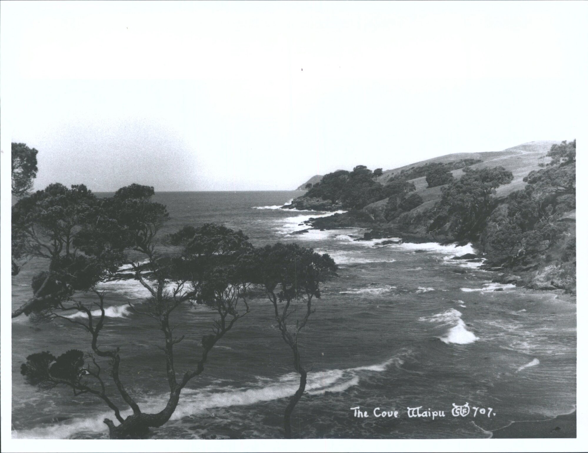 The Cove, Waipu