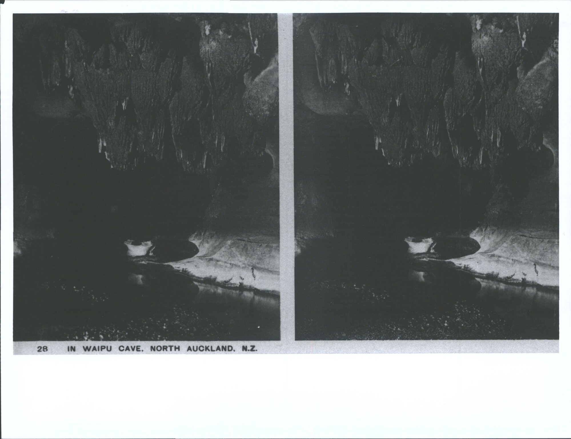 In Waipu Cave, North Auckland, N.Z.