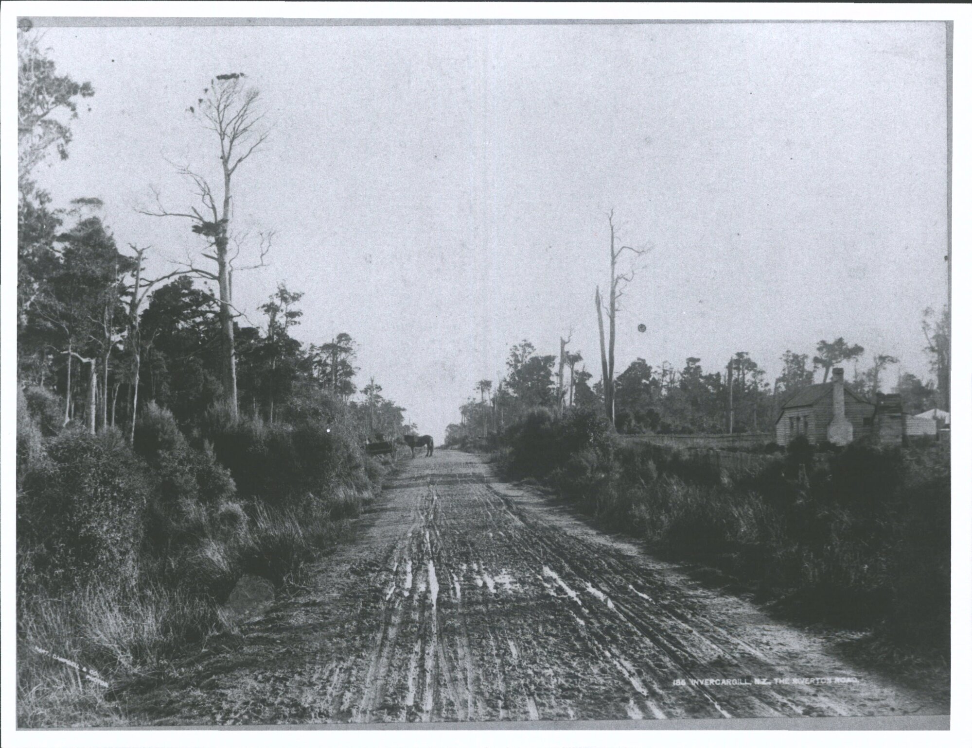 INVERCARGILL ROAD