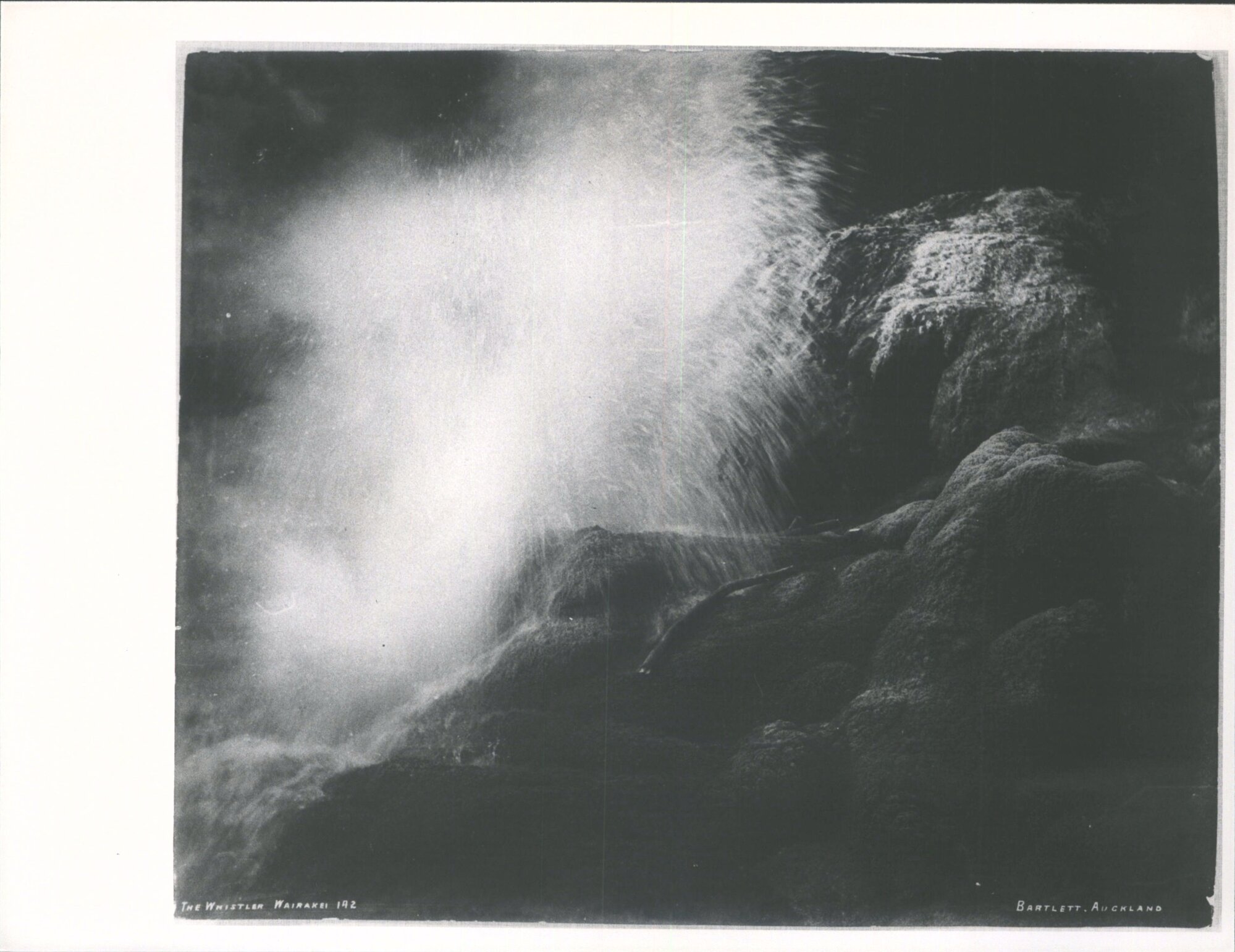 The Whistler, Wairakei