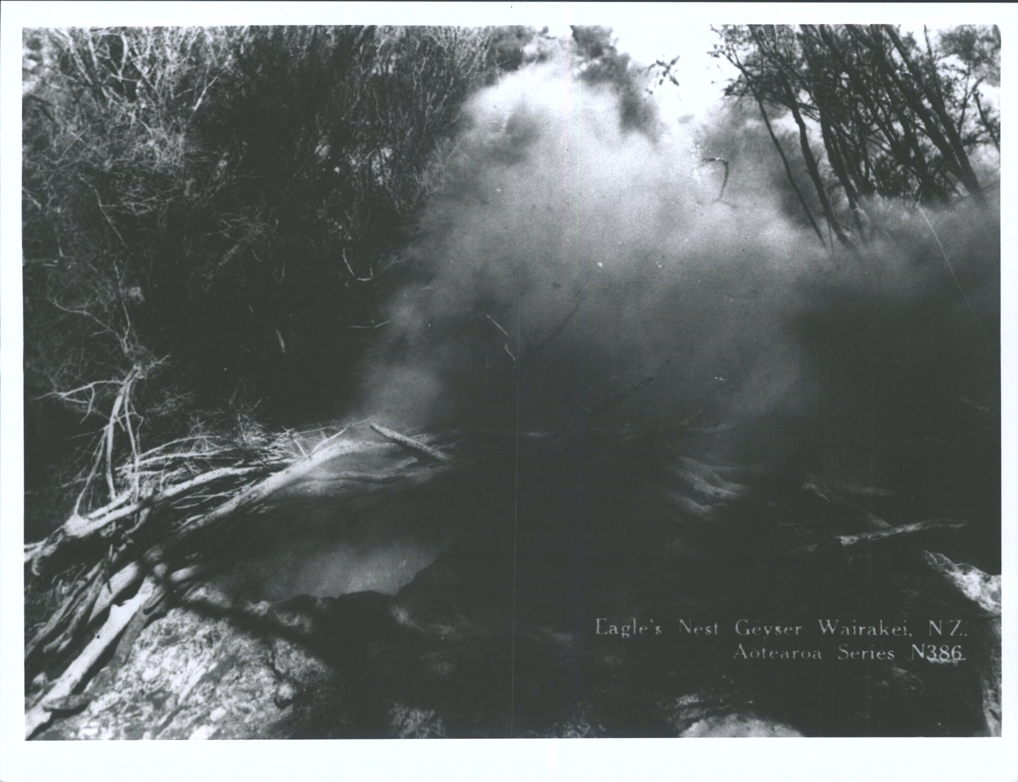 Eagle's Nest Geyser, Wairakei, N.Z.