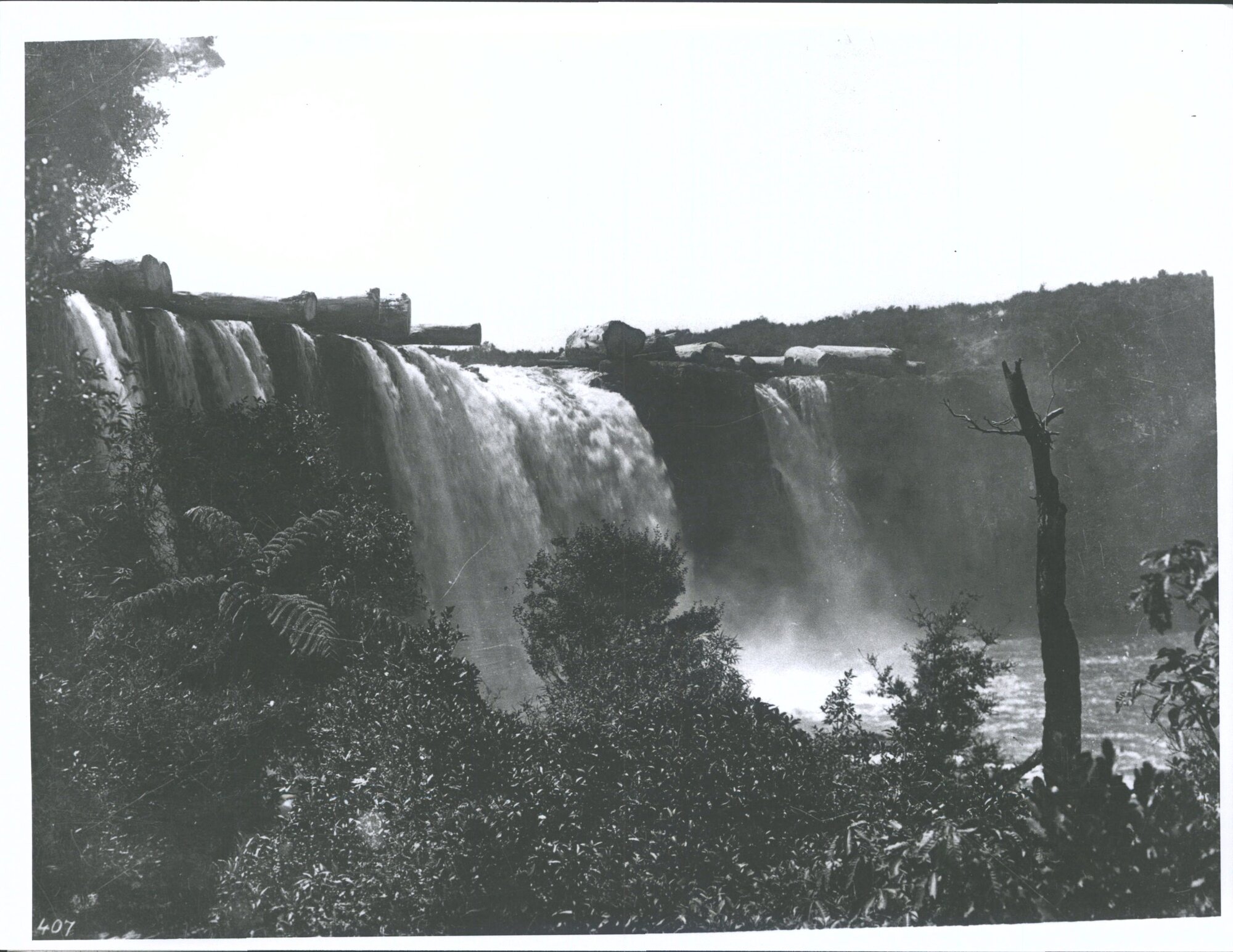 Kauri Logging, Wairua Falls, New Zealand
