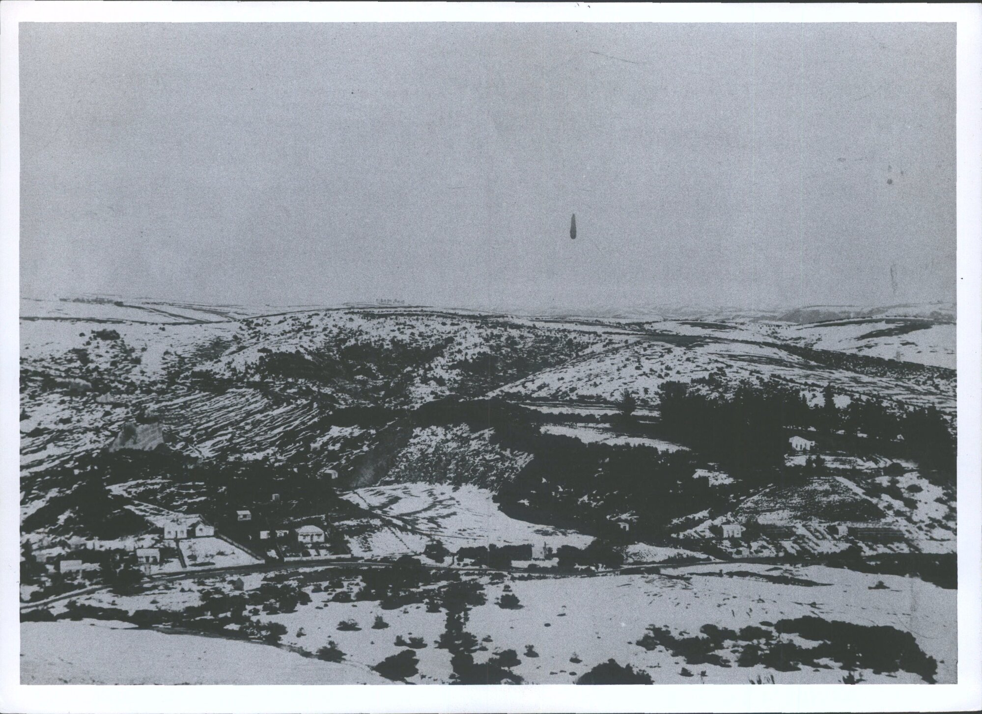 Waitahuna Gully, 2 miles up from Waitahuna