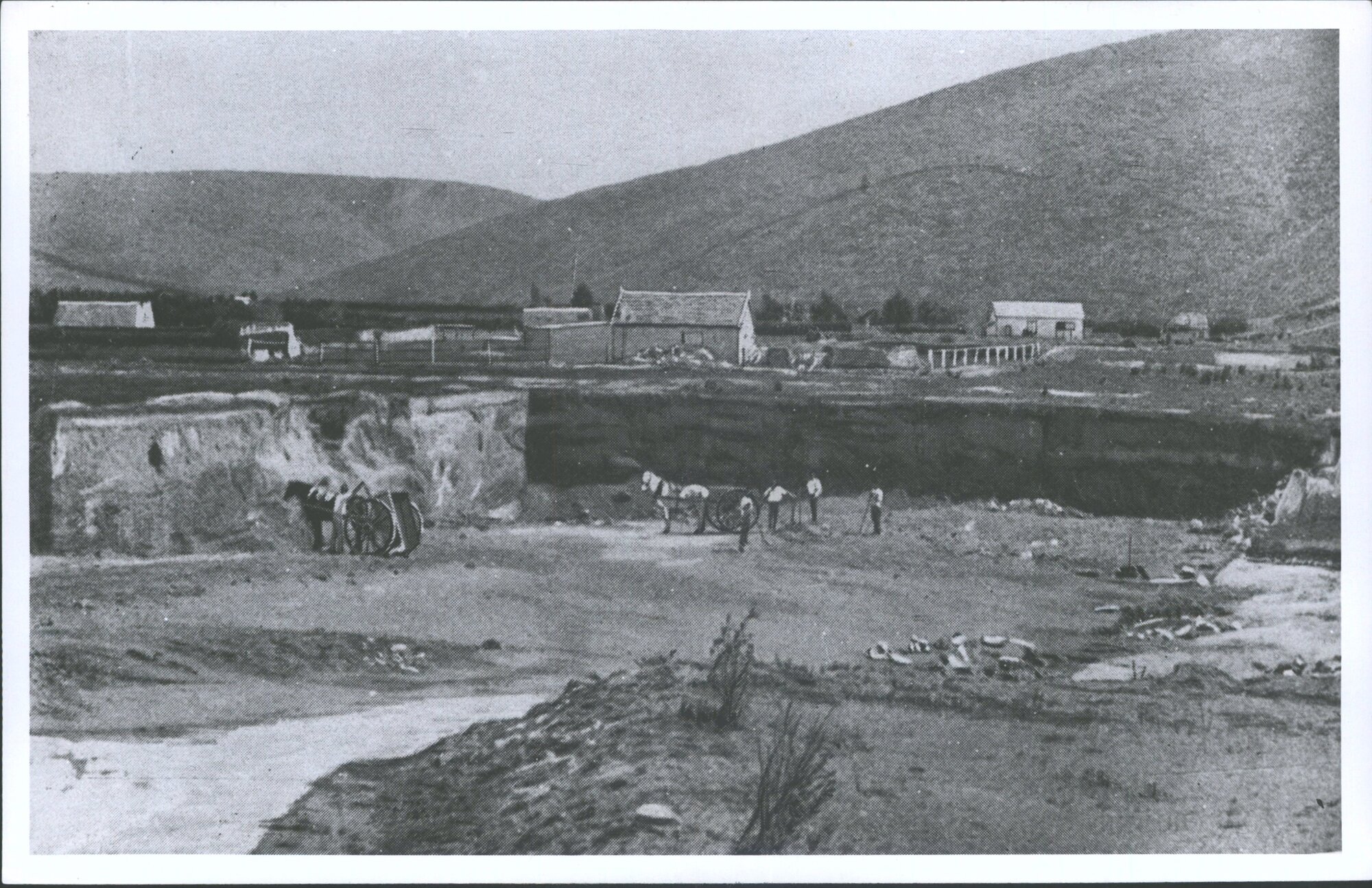Stripping with horses and drays, Havelock Flat, Waitahuna