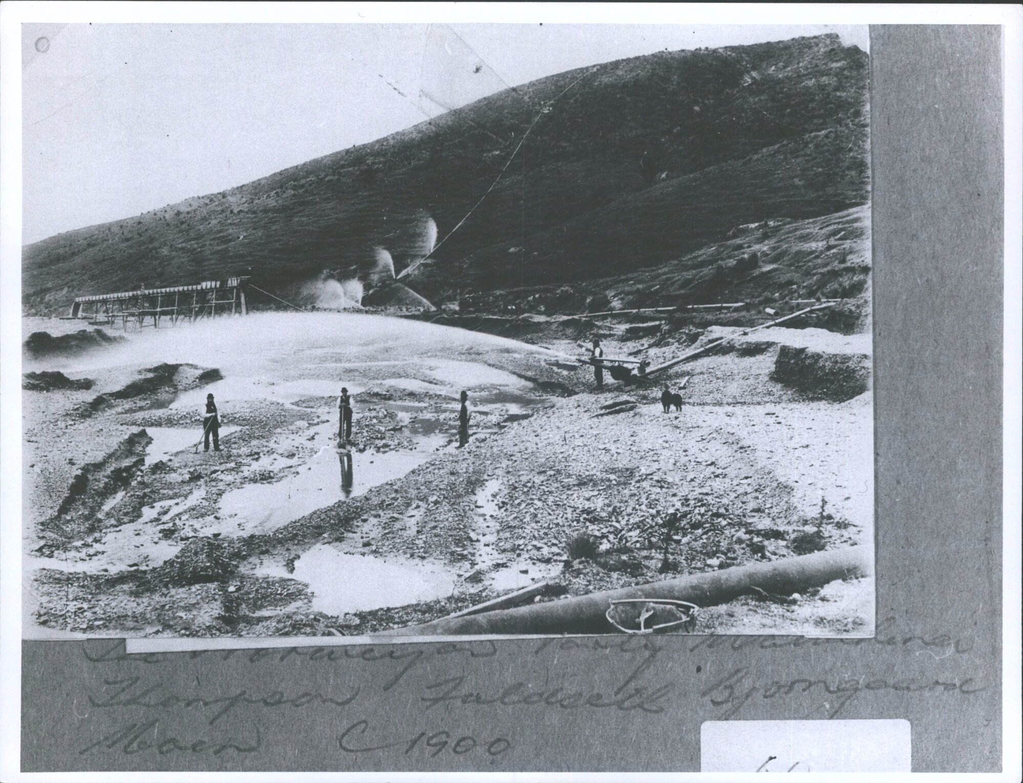 Norwegian Party's claim