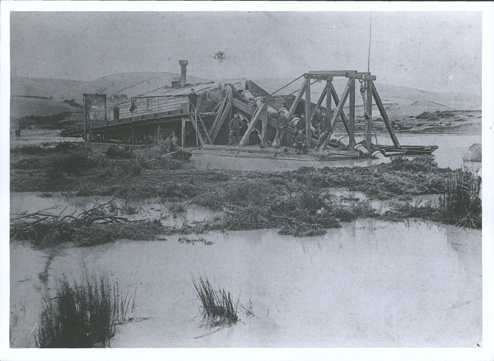 Havelock Dredge