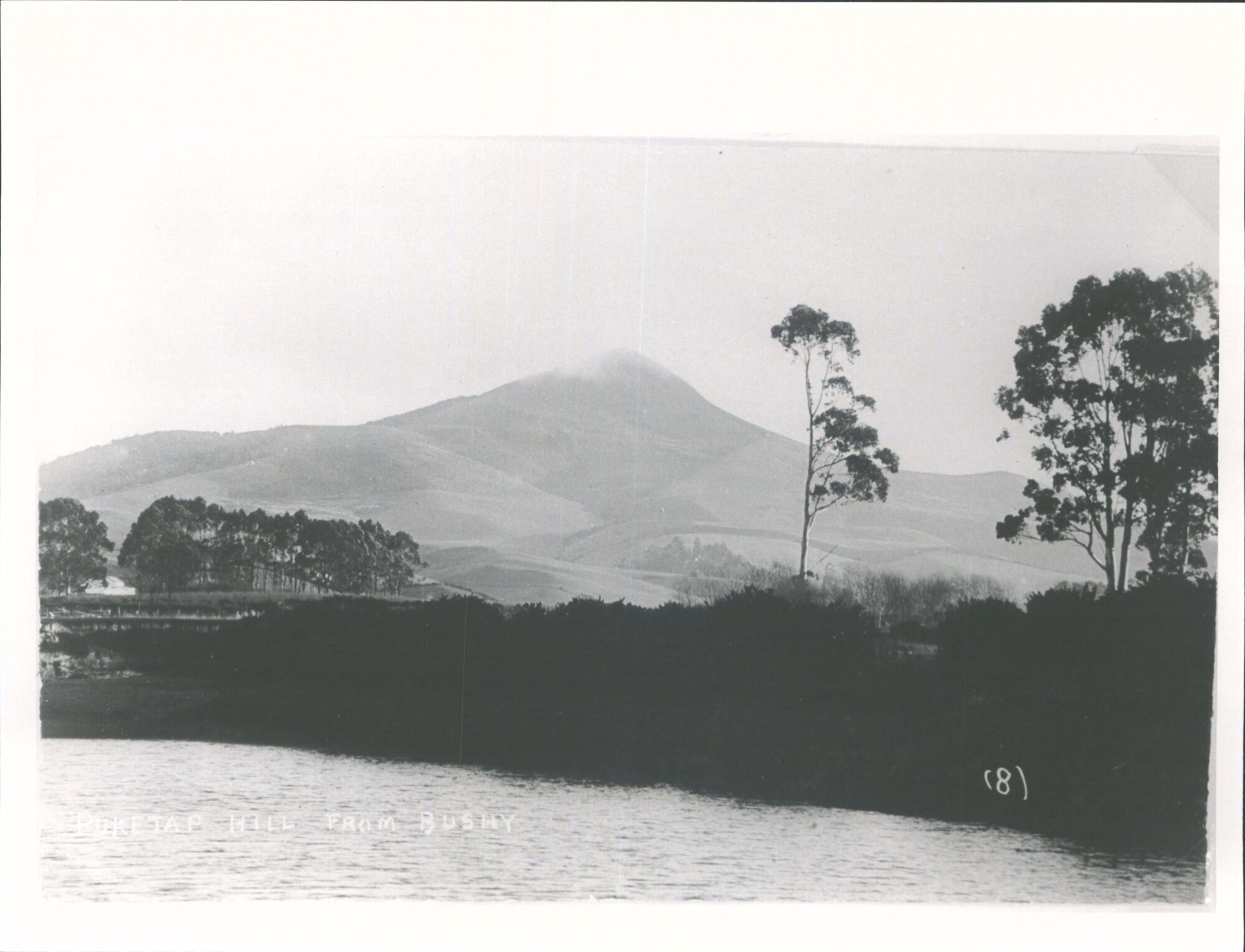 Puketapu Hill from Bushey
