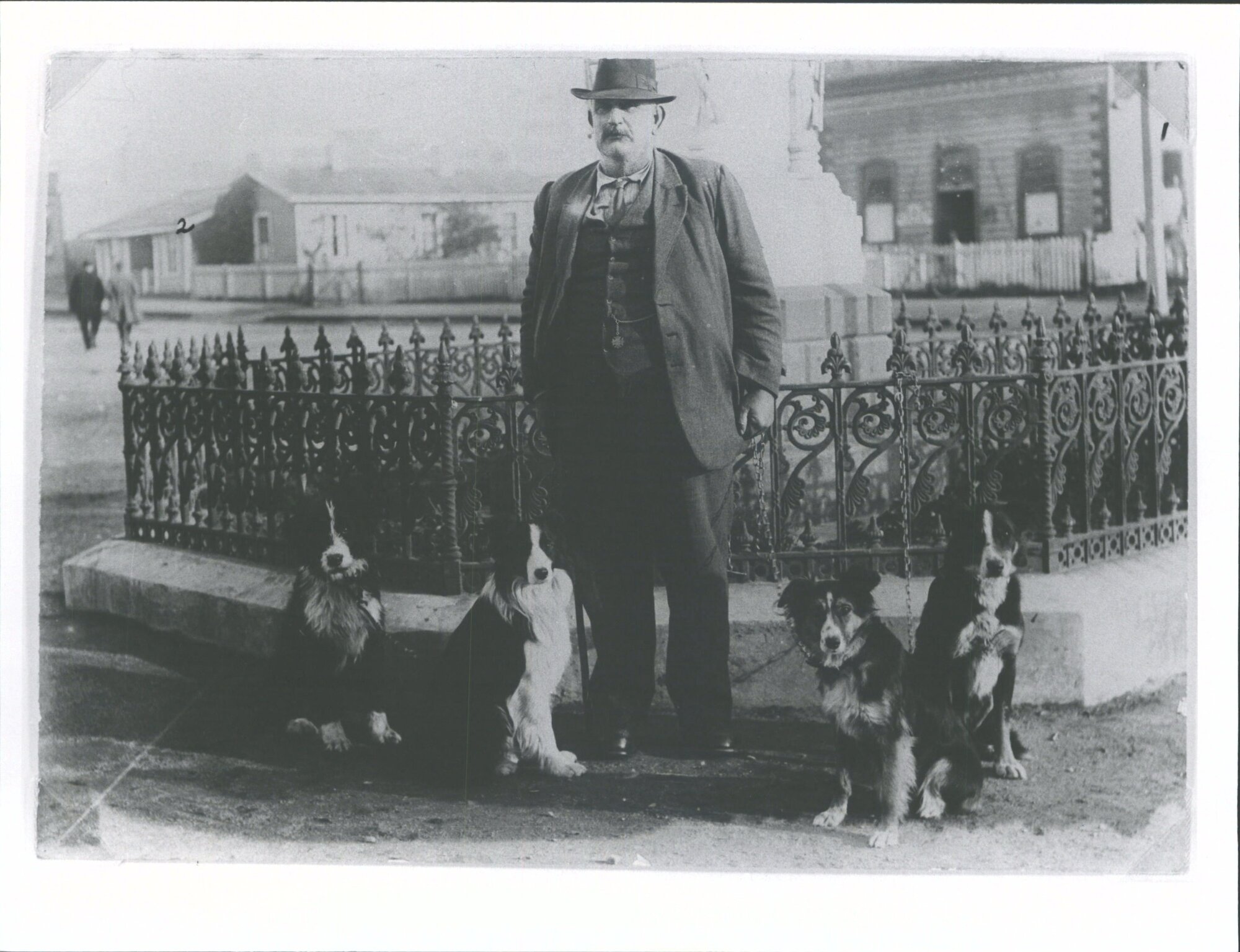 Perdue, Mr. John, and dogs
