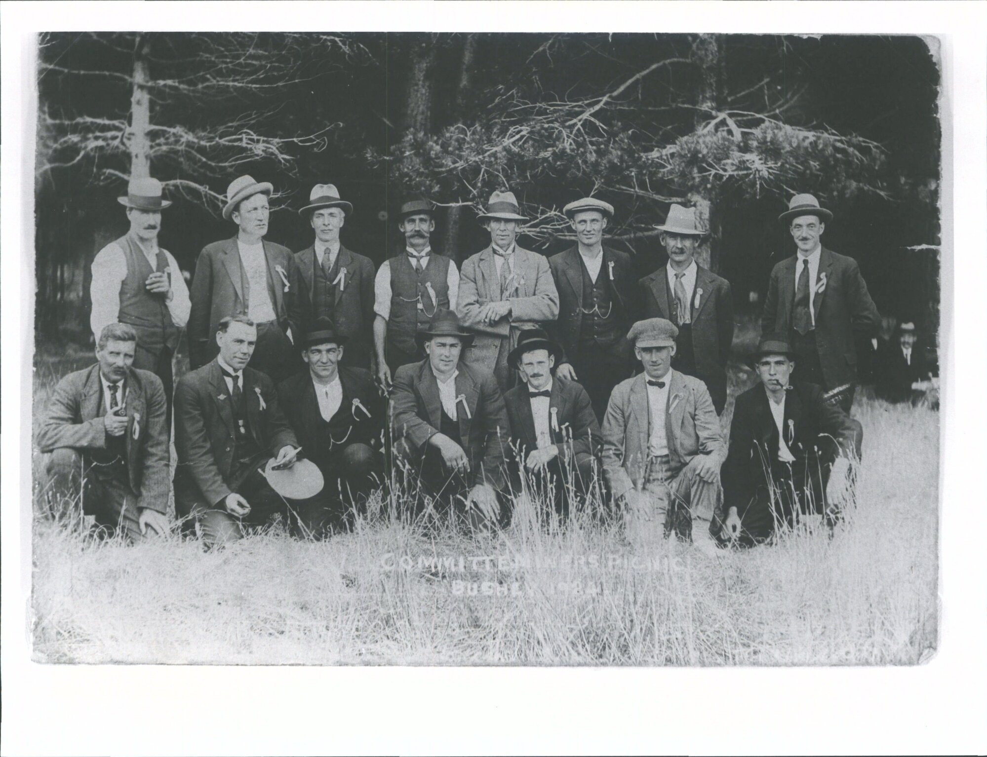 Miners Committee Picnic, Bushey