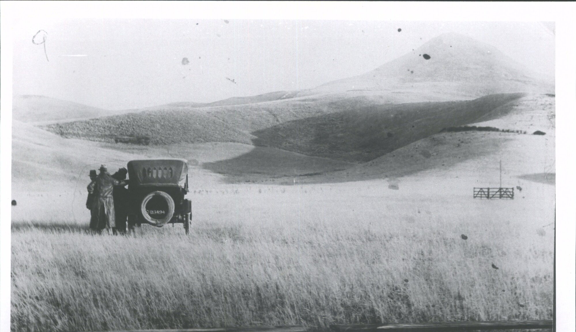 Bushey Rd., Dog trials