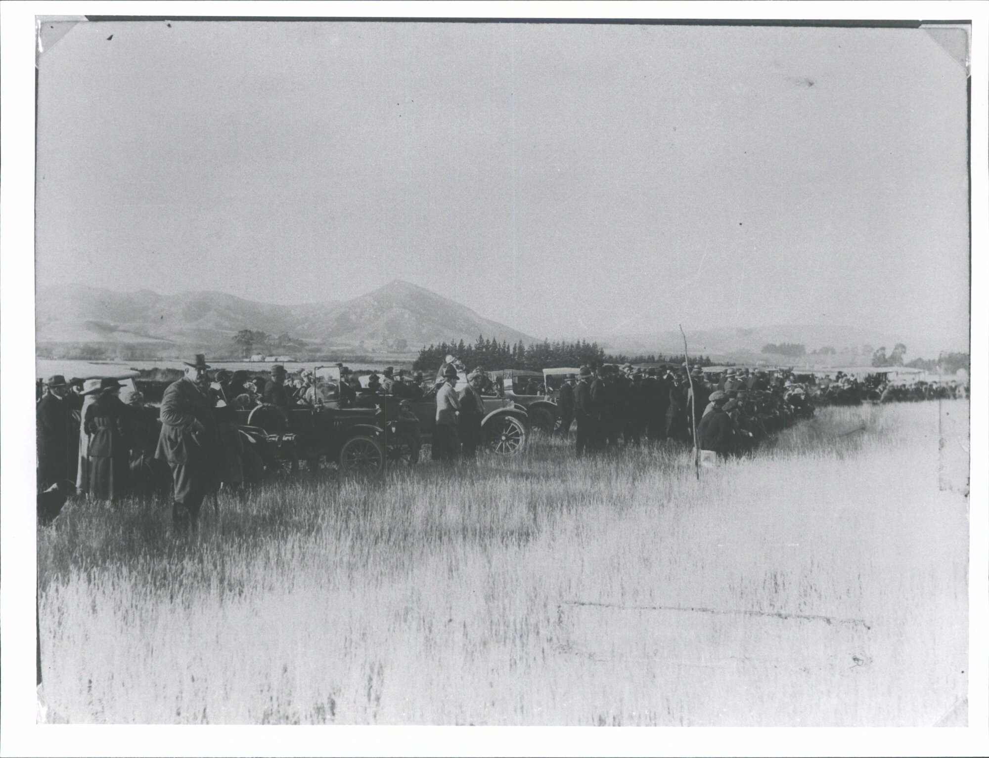 Bushey Rd. Dog trials, Pukewhiti in background