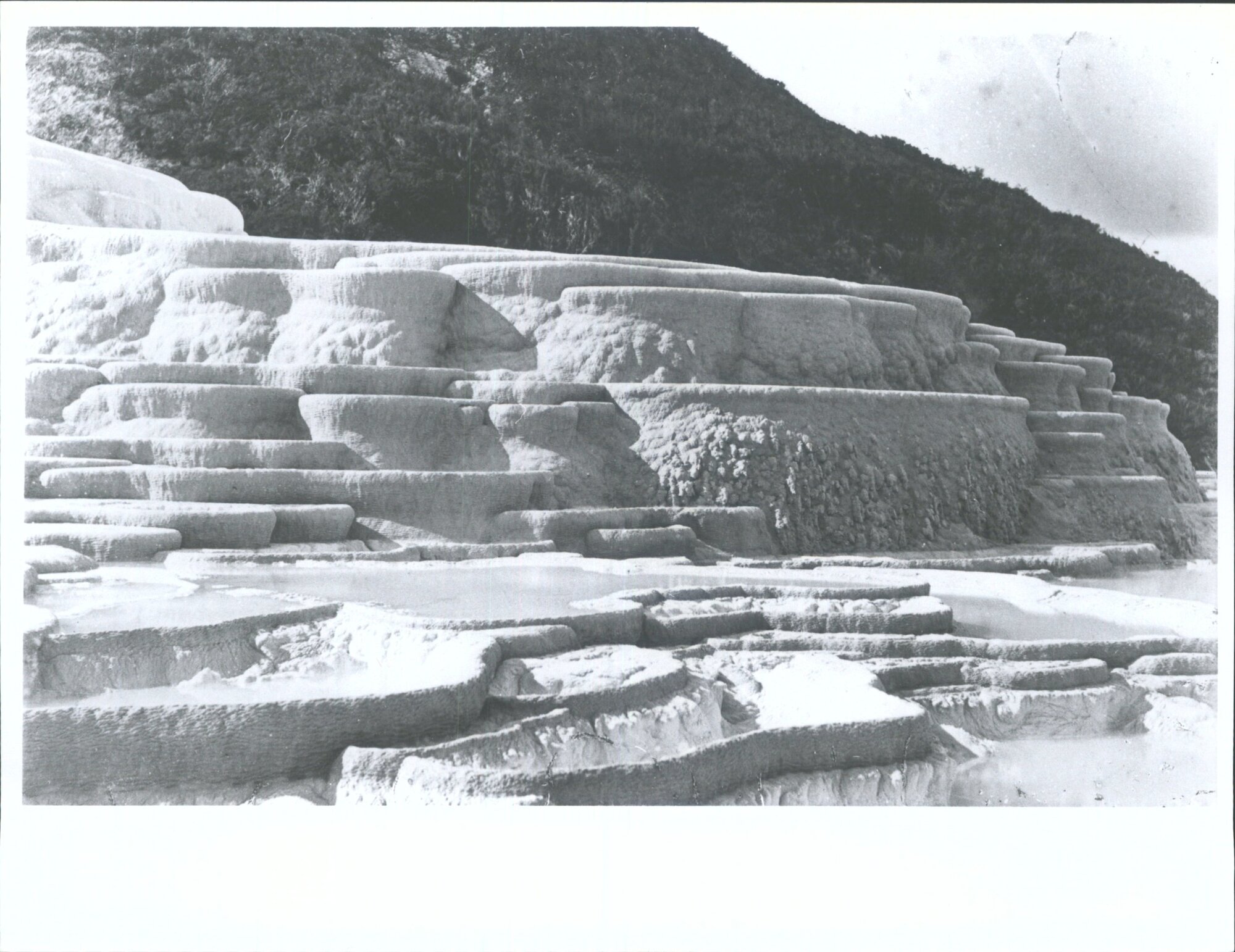 White Terrace: 'Natures beautiful fonts White Terrace of Rotomahana'