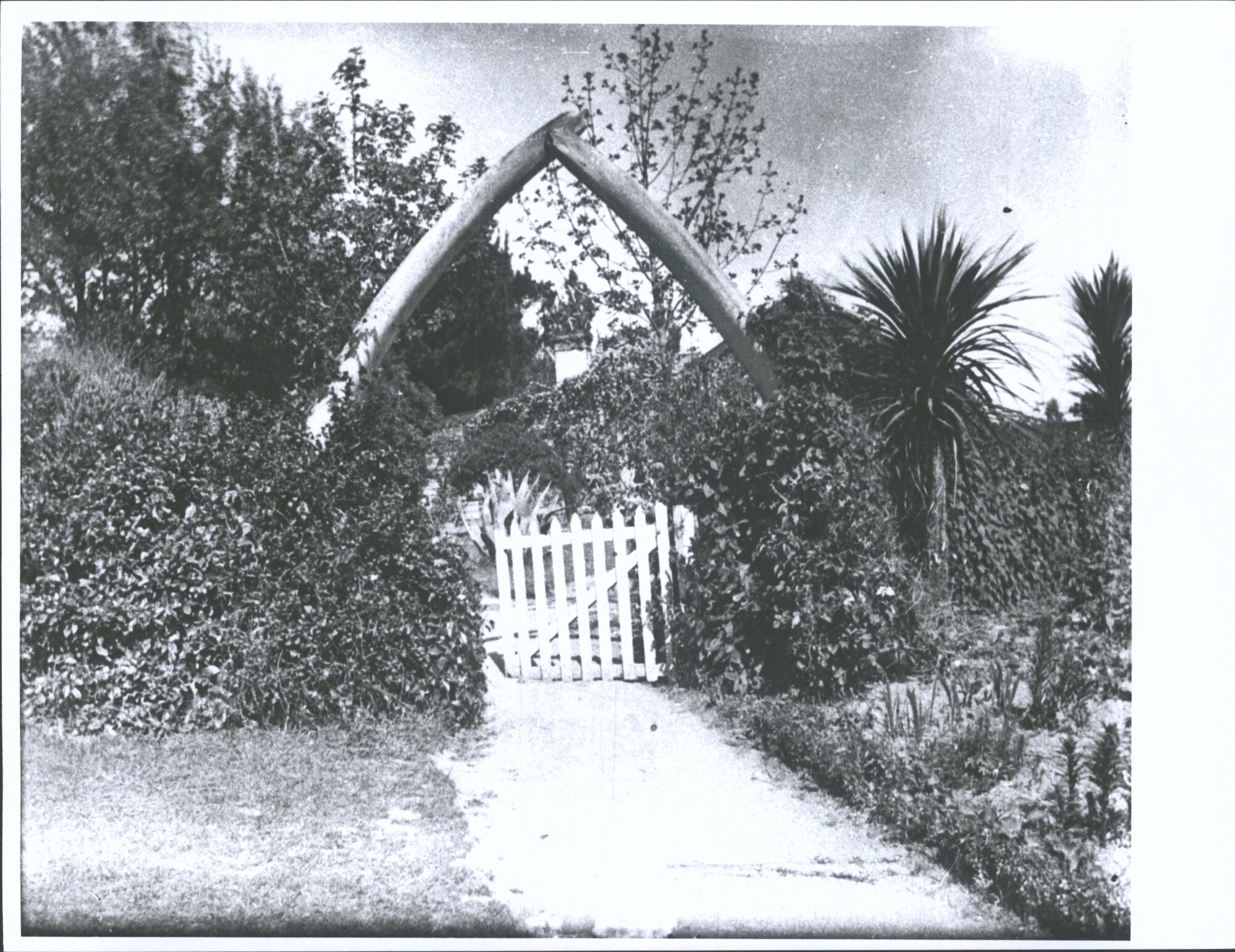 Archway over gate