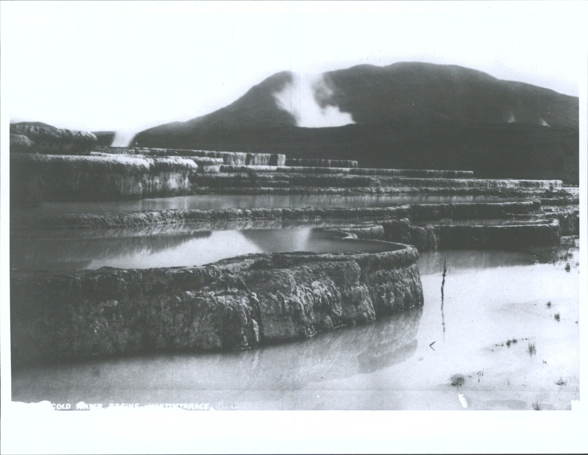 Cold Water Basins, White Terrace