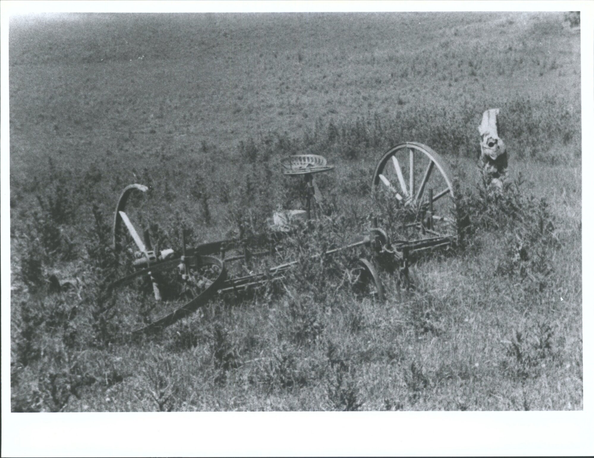 Palmerston to Goodwood, old Main Road