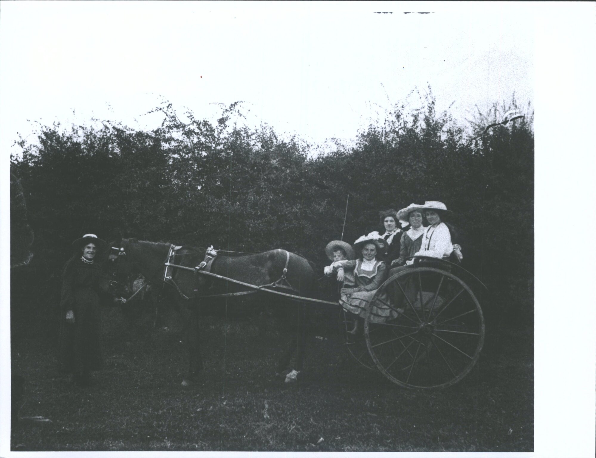 People riding on a horse cart