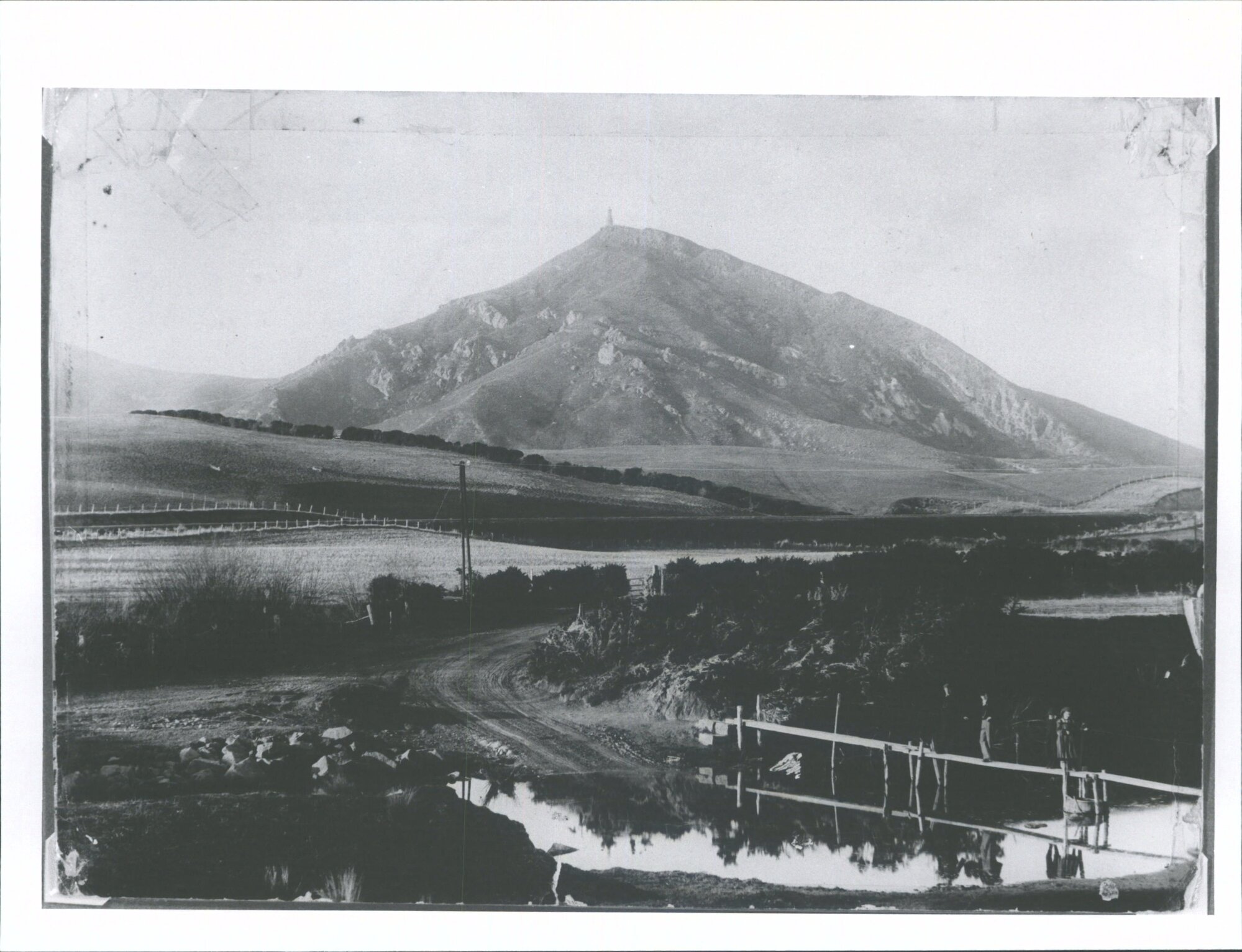 Looking to Pukewhiti from Muddy Creek