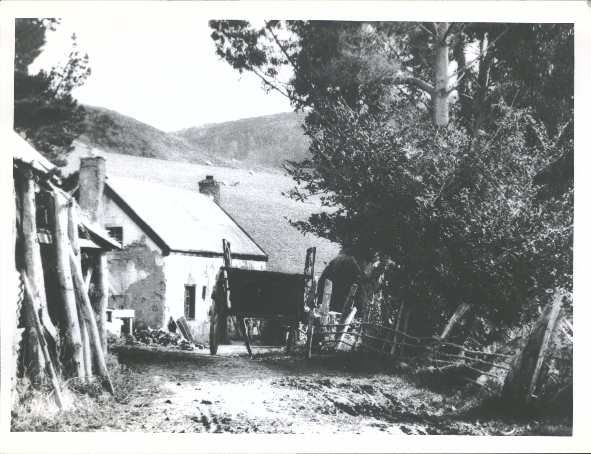 Old Cottage, Waitati