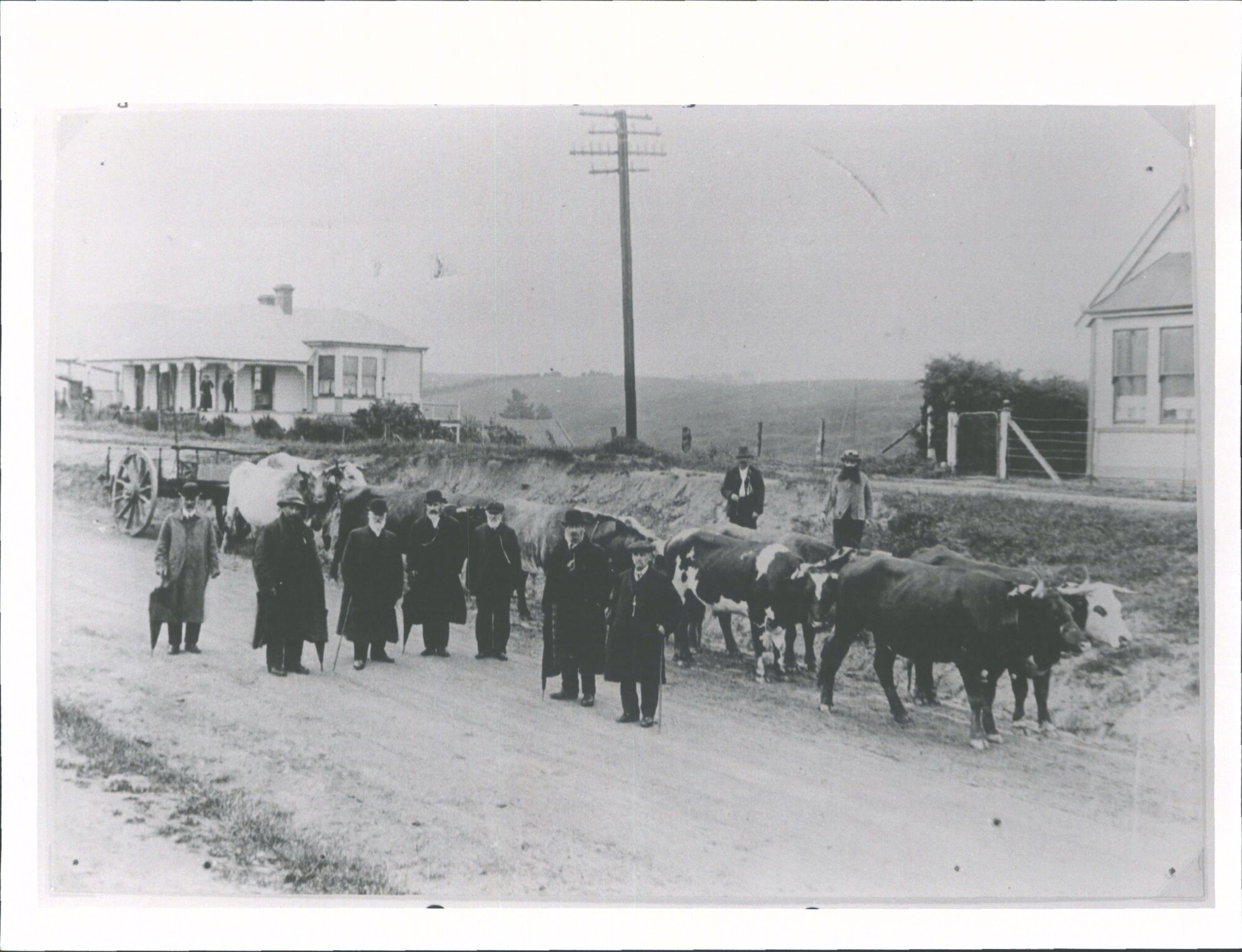 Bullock drivers reunion, Ronaldsay St., Palmerston