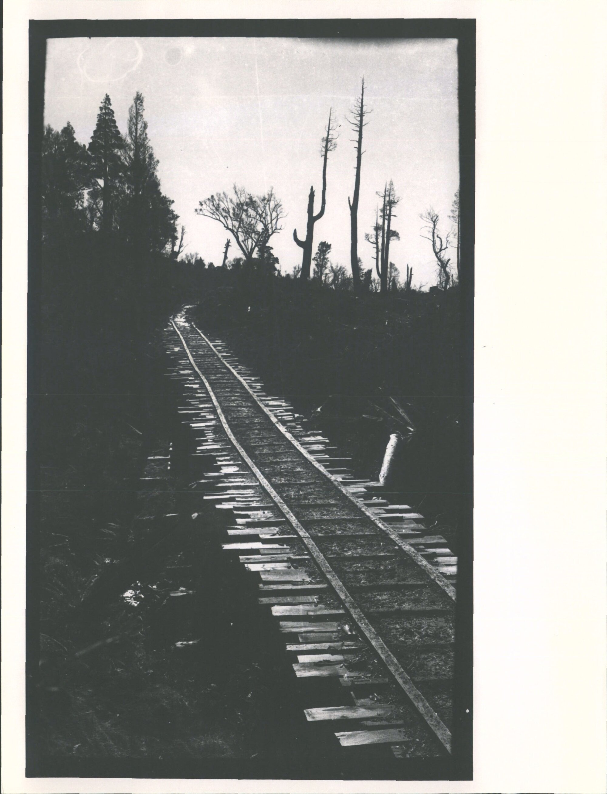 David Booth's Sawmill - Tramline Bridge