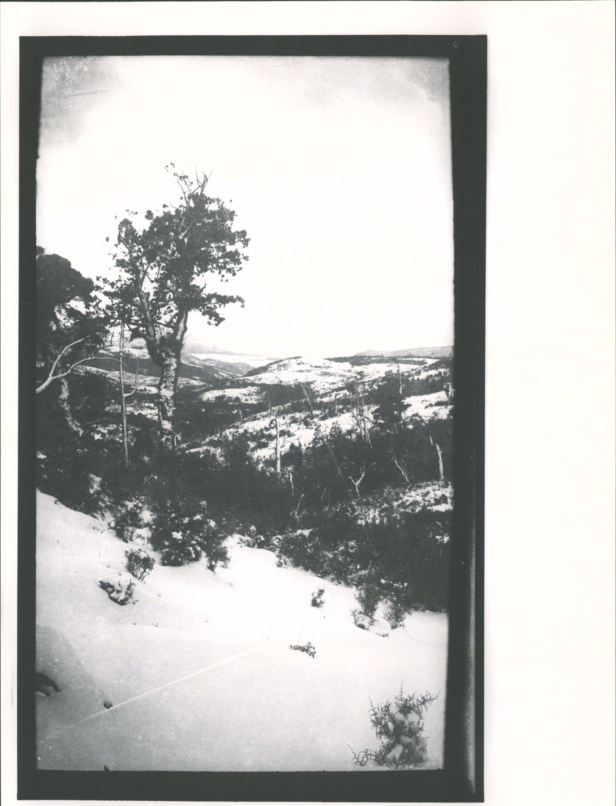 Waitati Valley in winter