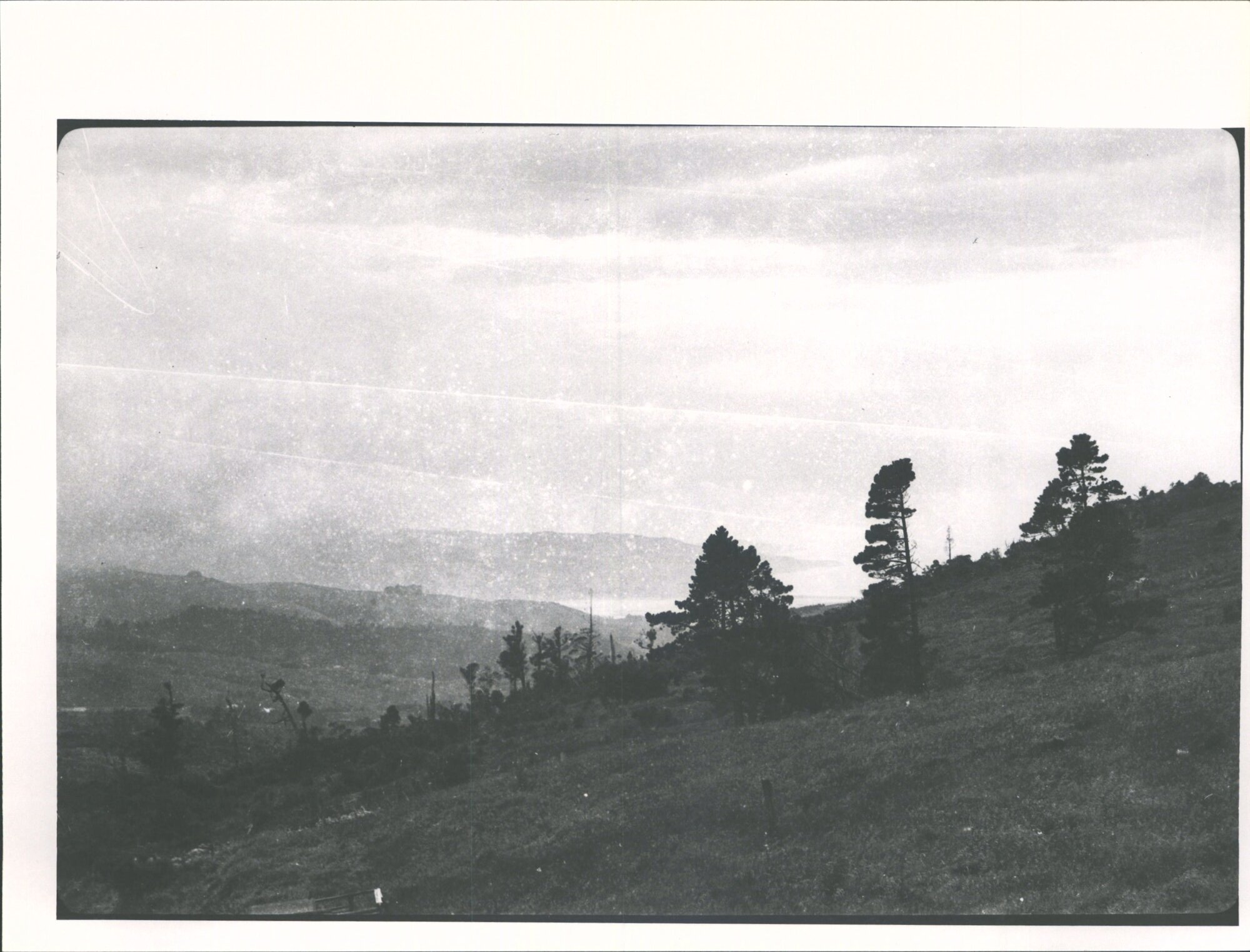 Looking toward Blueskin Bay