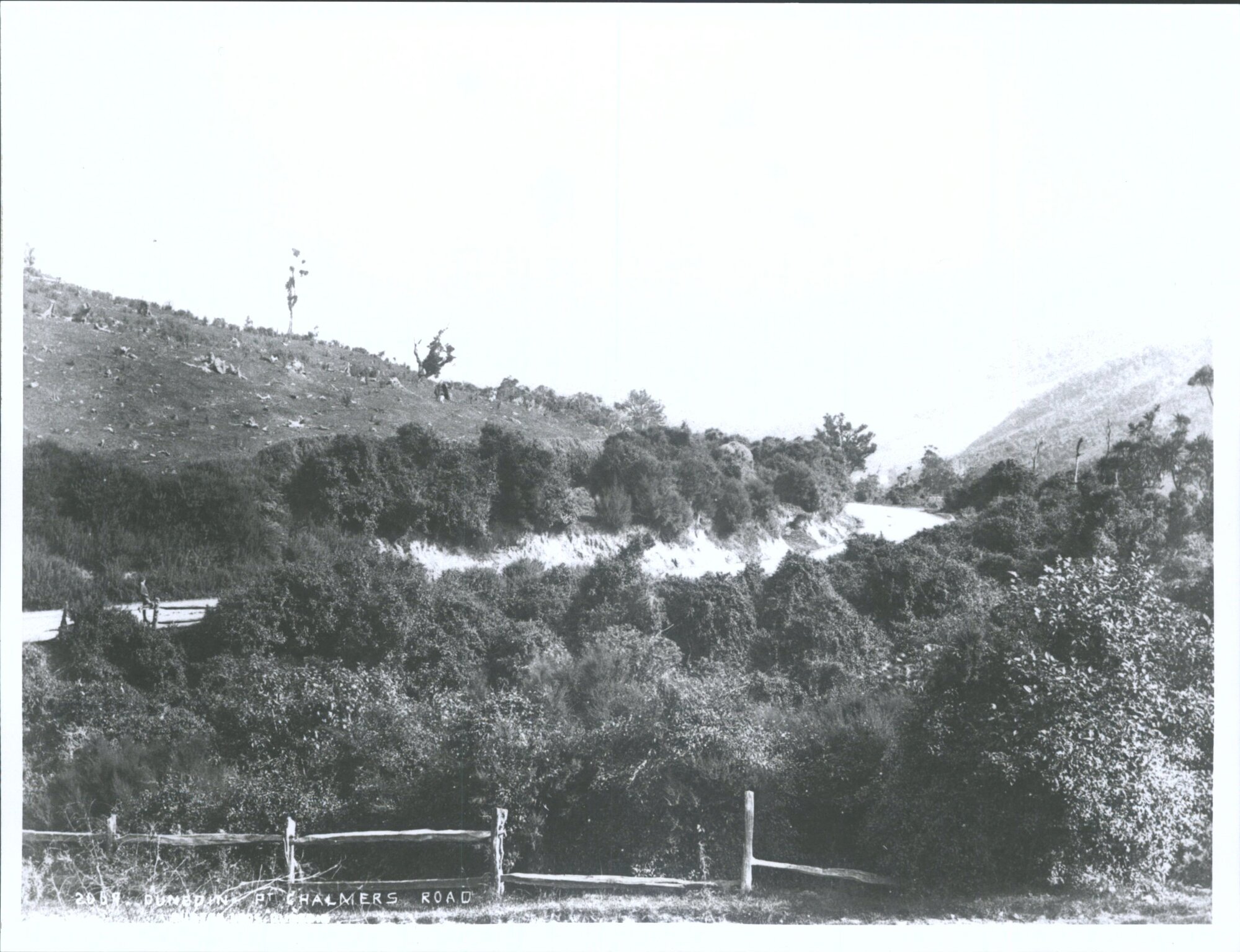 Road to Waitati from Port Chalmers