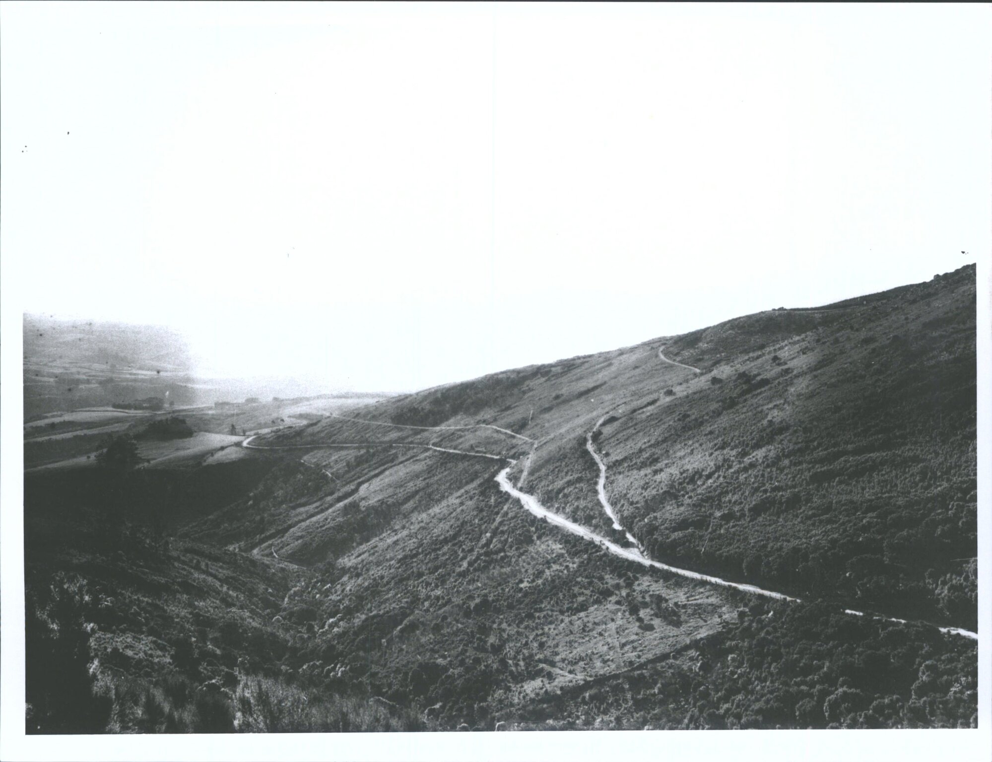 Road to Waitati via Mount Cargill