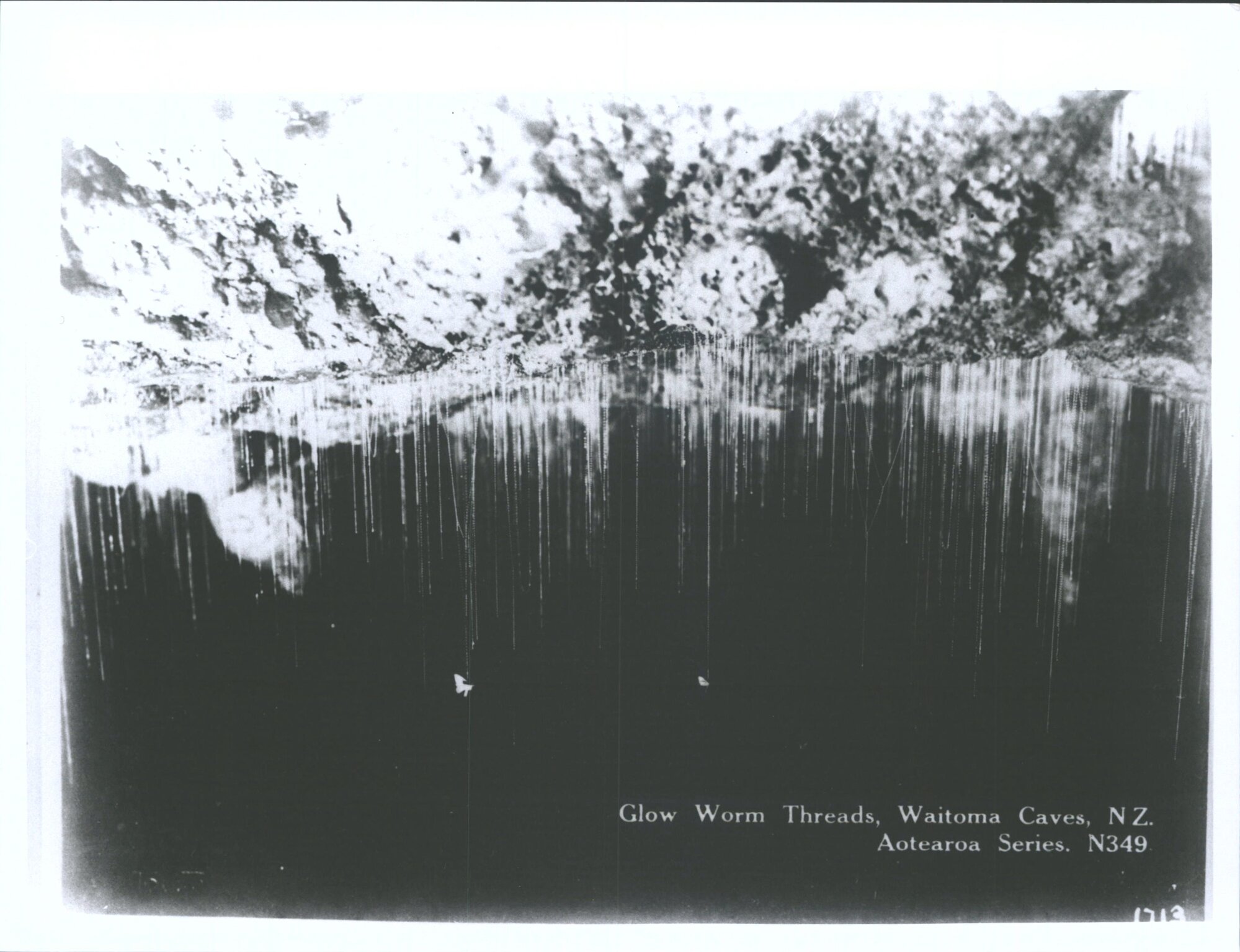 Glow Worm Threads, Waitomo Caves, N.Z.