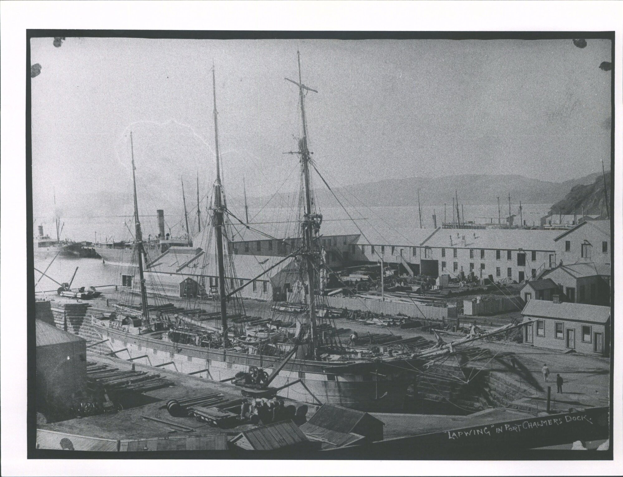Lapwing in Port Chalmers Dock
