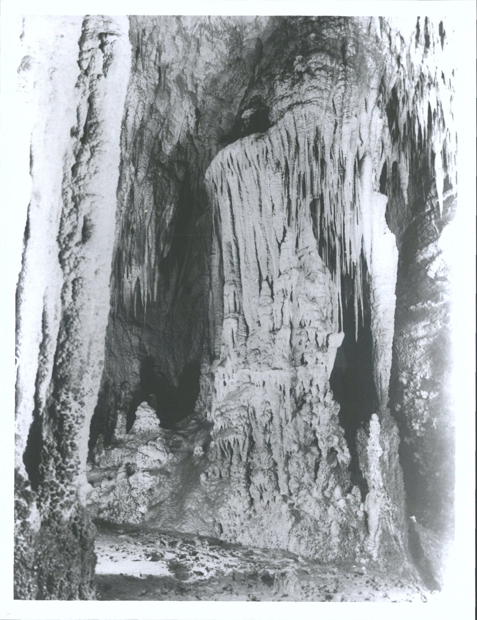 Waitomo Caves - Aranui