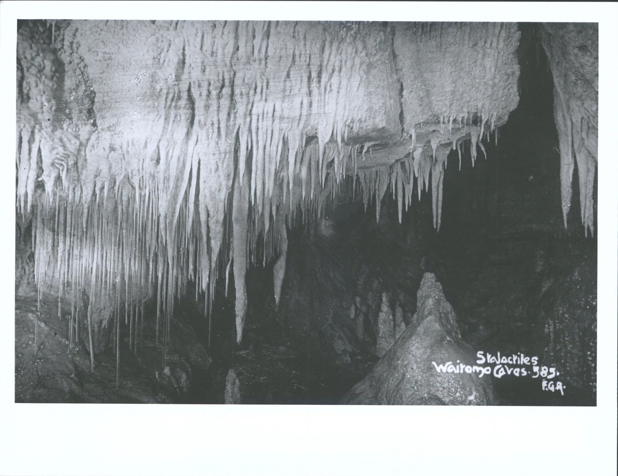 Stalactites, Waitomo Caves