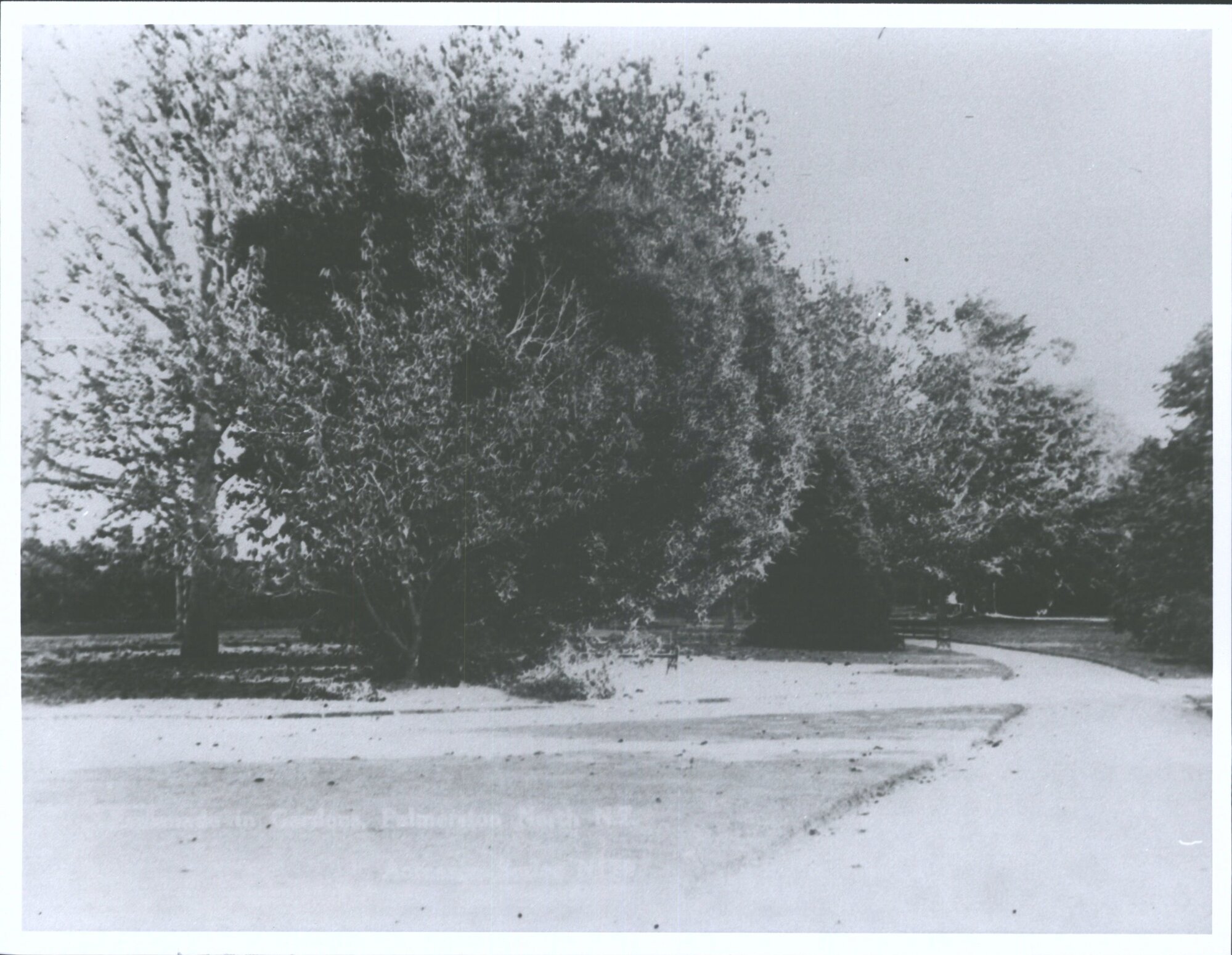 Esplanade in Gardens