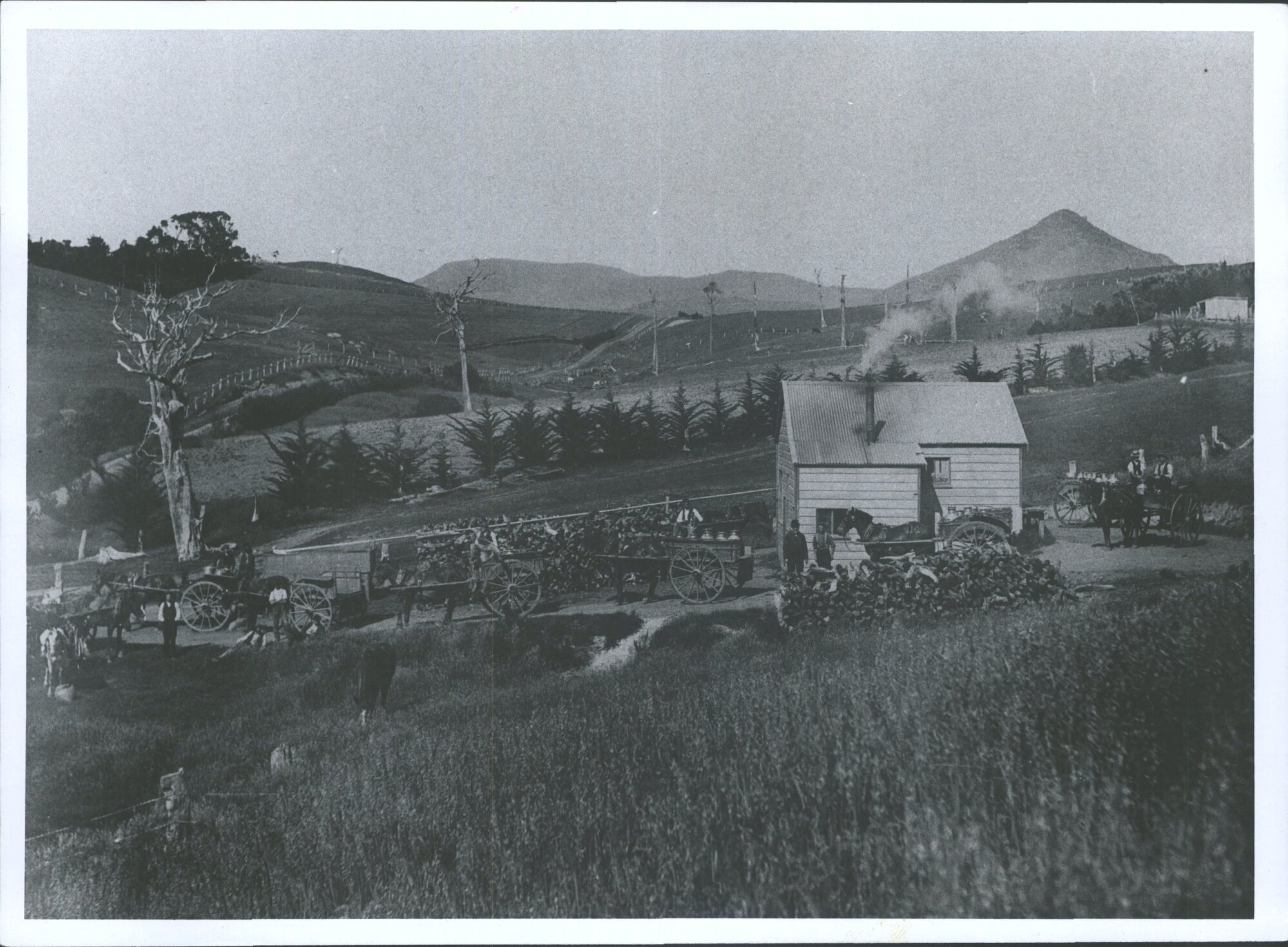 Milk treatment station