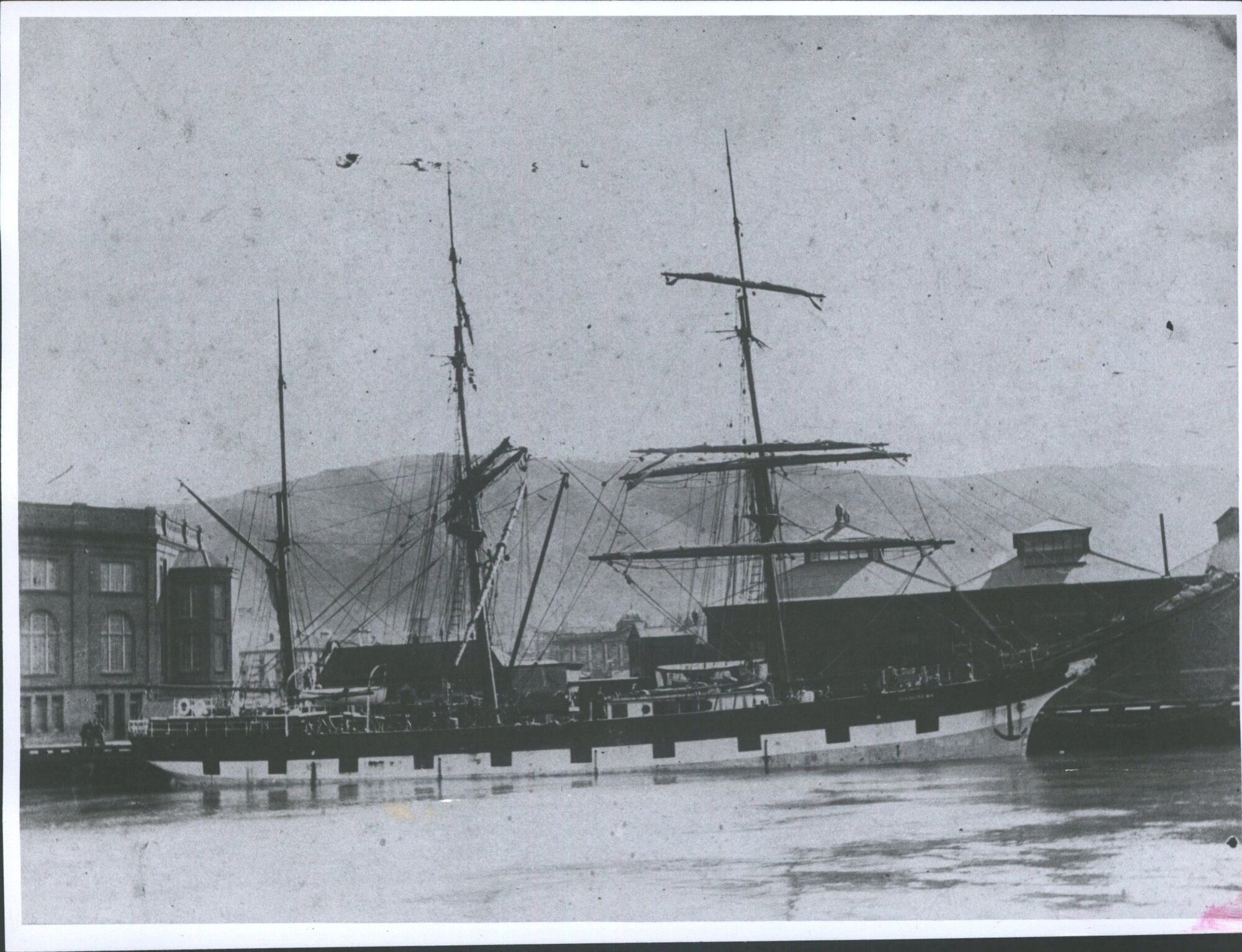 Barque Manurewa