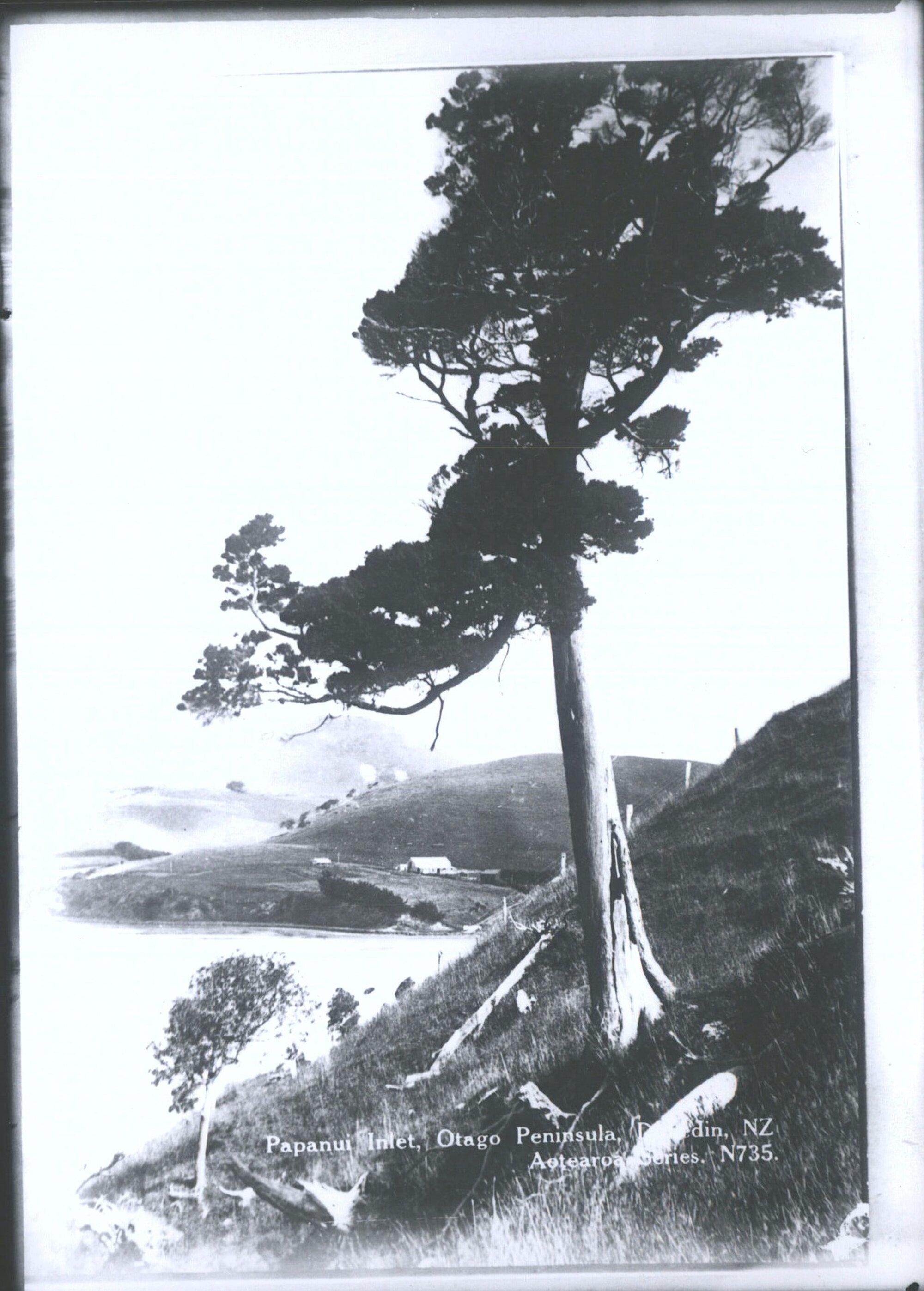 Papanui Inlet, Otago Peninsula