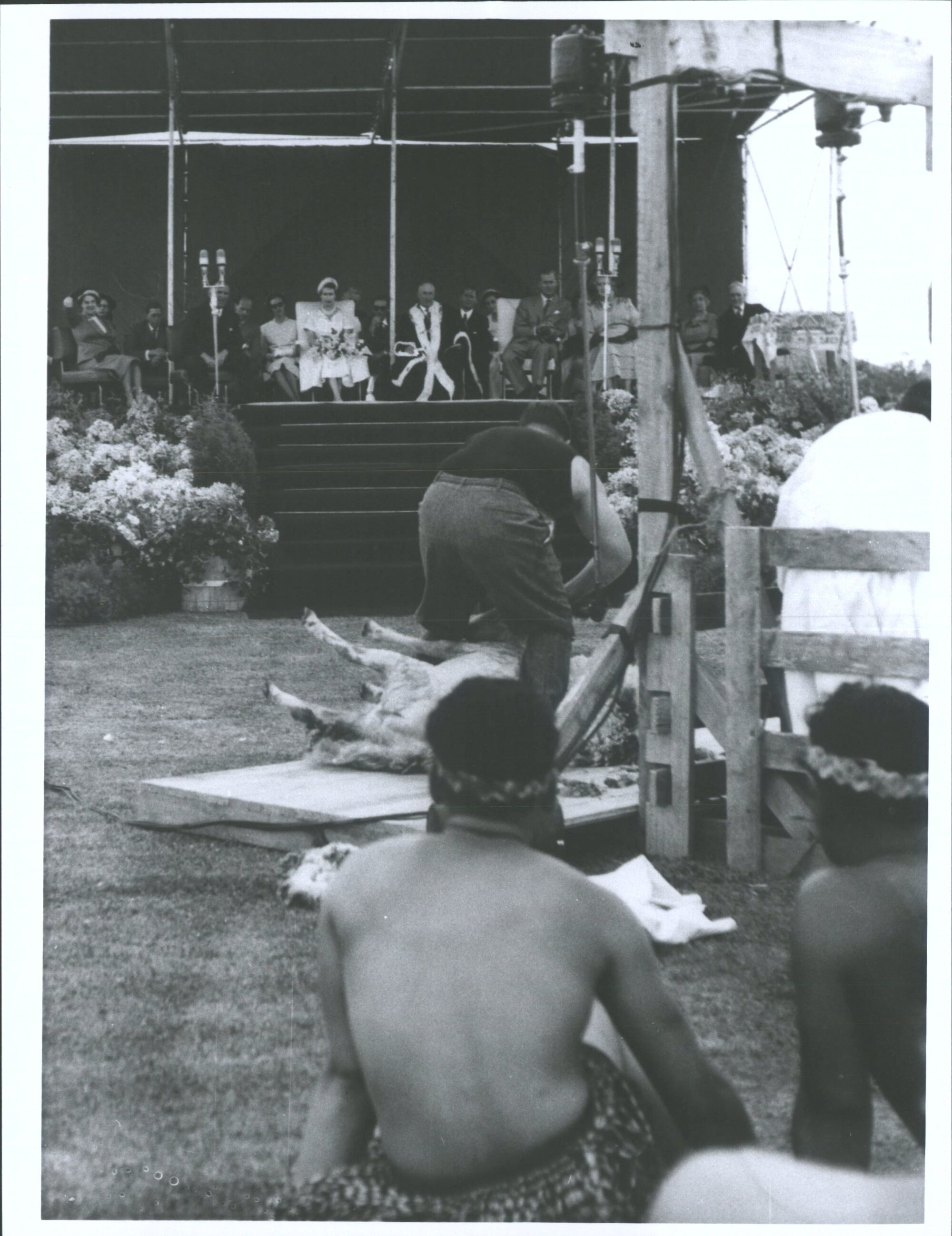 Shearing demonstration by Champion Godfrey Bowen. Napier