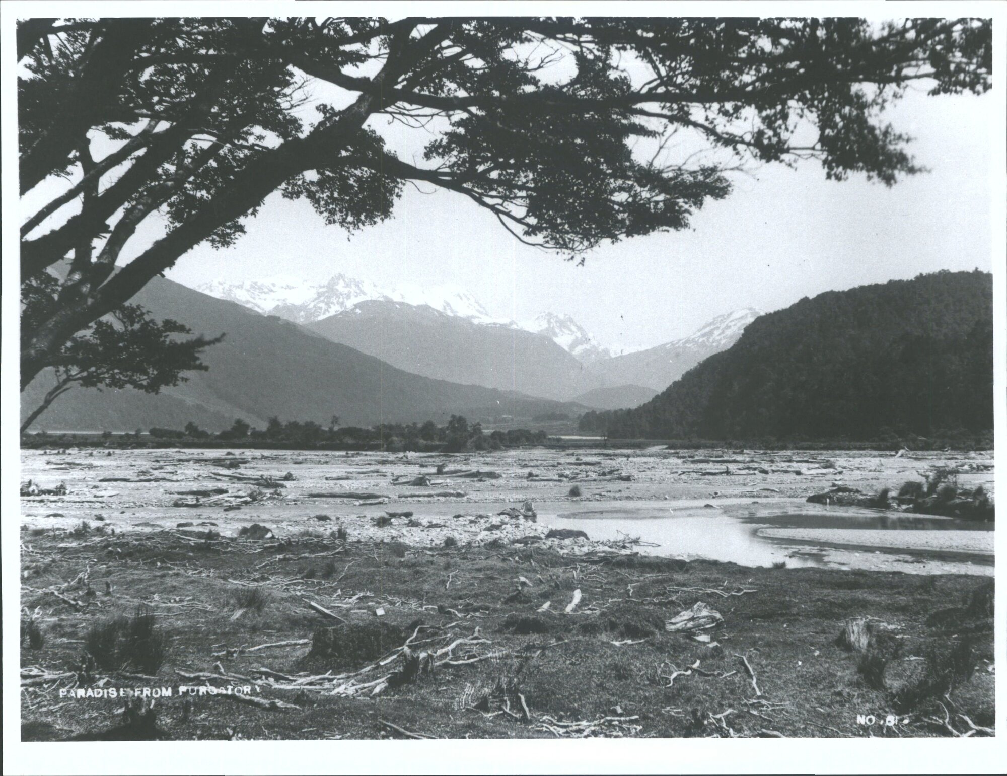 Paradise from Purgatory