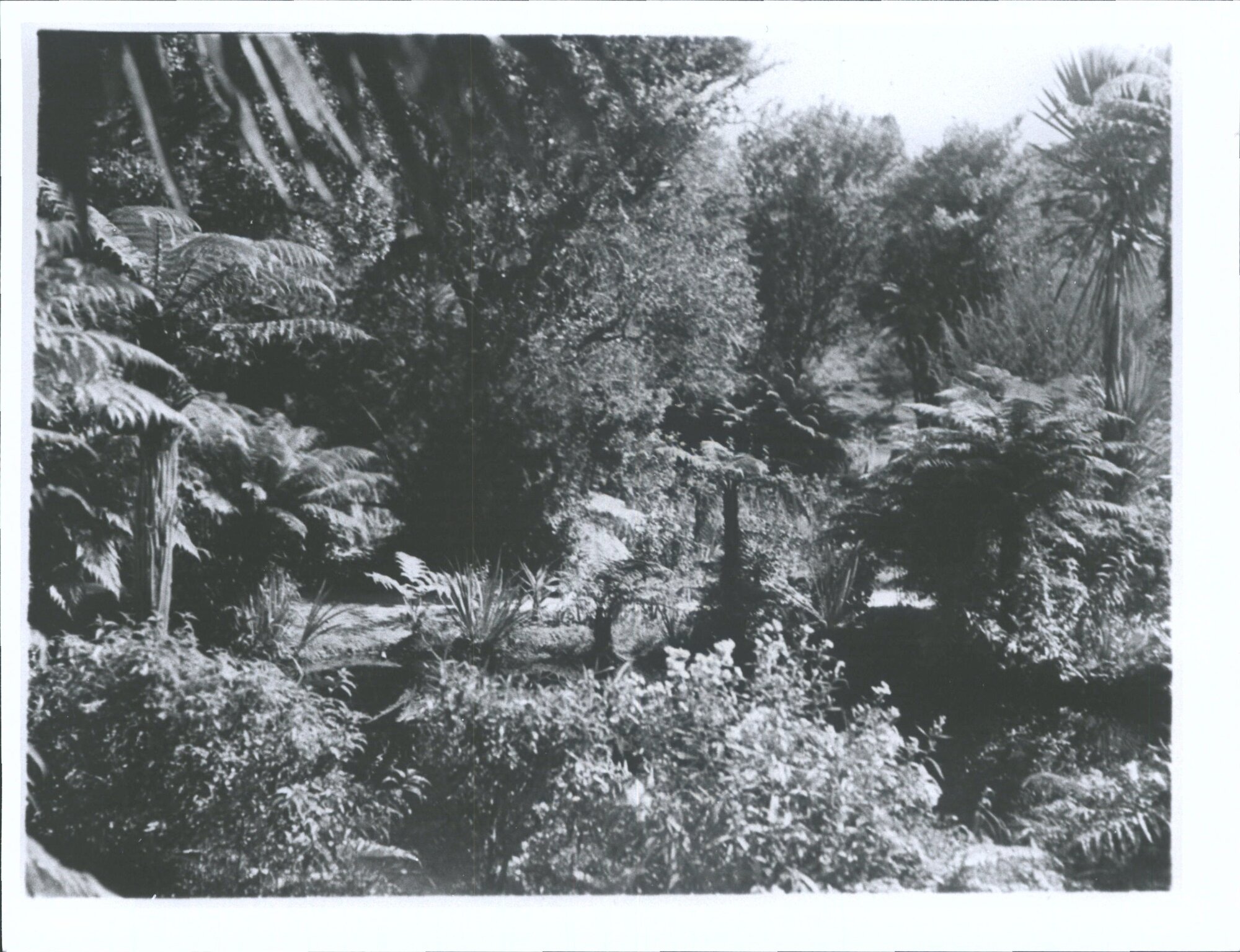 Paradise Valley Springs