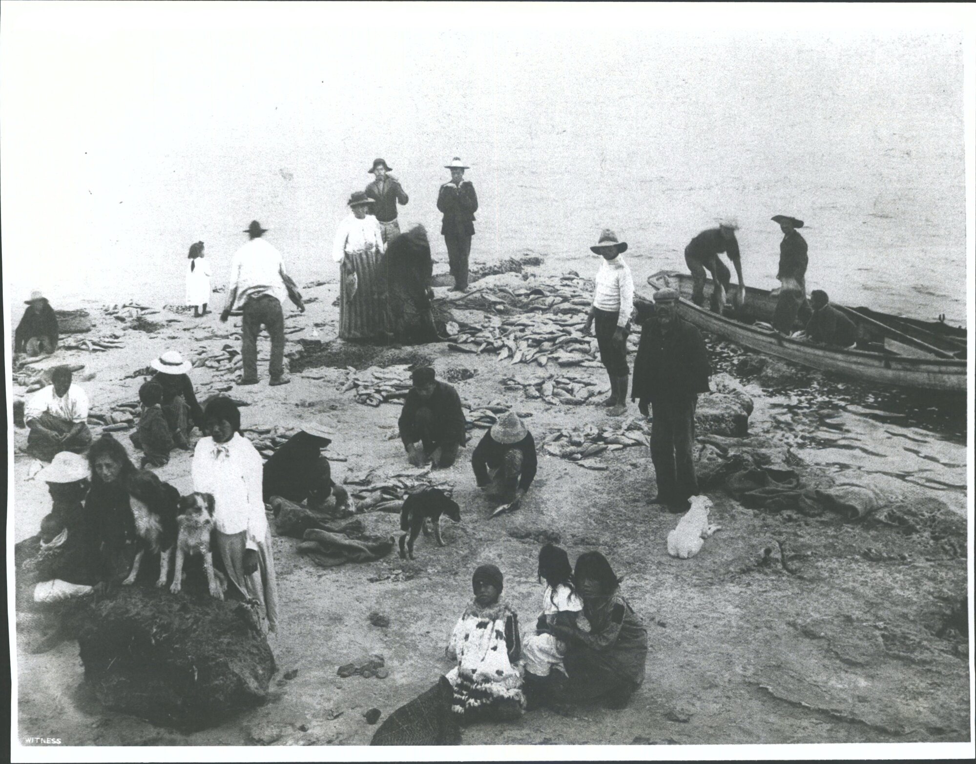 Parengarenga Harbour