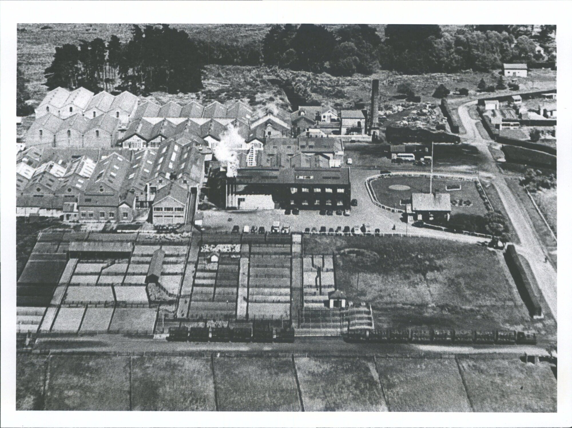 Timaru, Pareora Freezing Works