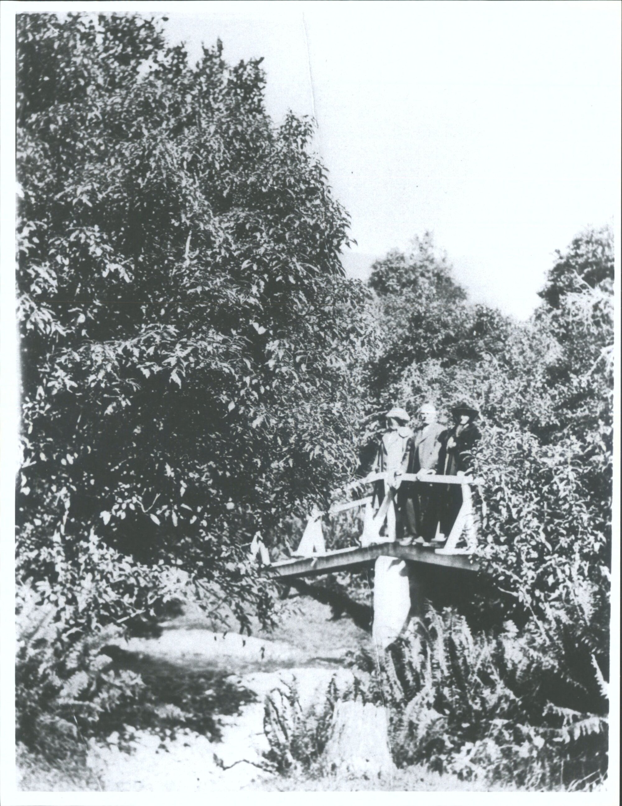 Bridge leading to tennis court at Blandswood, Peel Forest